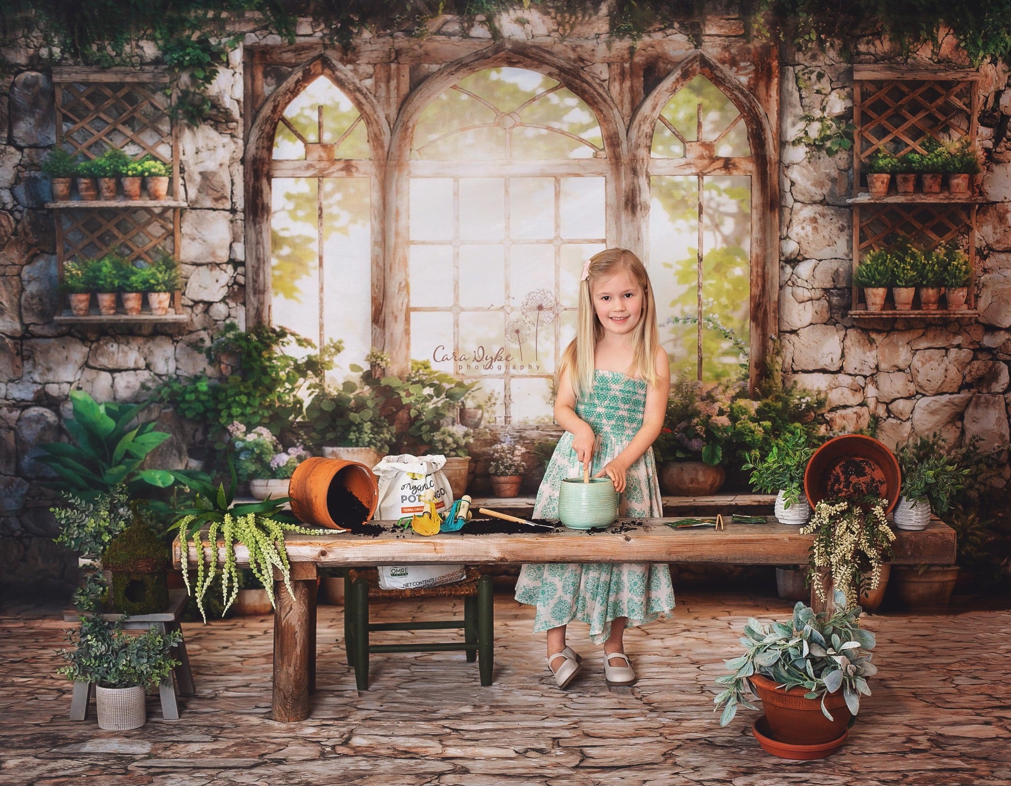 Kate Printemps Plantes Vert Ensoleillé Fenêtre Toile de fond conçue par Chain Photographie - Kate Backdrop FR