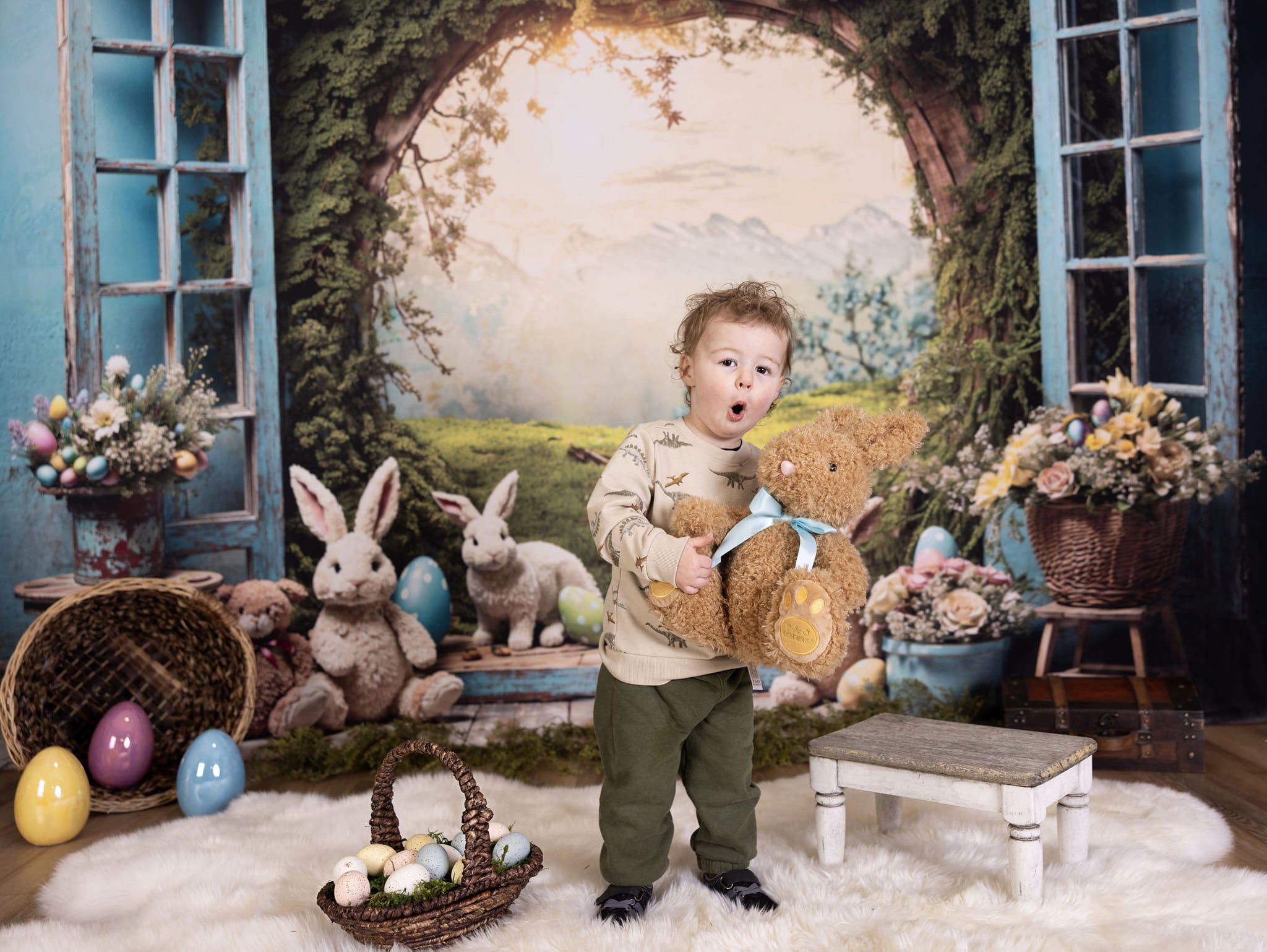 Kate Pâques Lapin Fenêtre Paysage Toile de fond en Laine pour la photographie - Kate Backdrop FR
