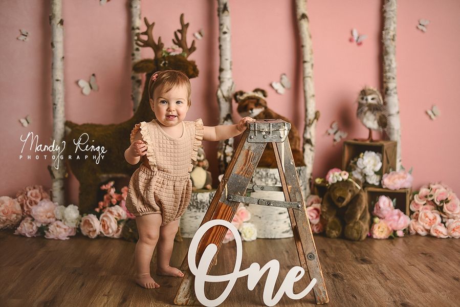 Kate Couleur unie Rose clair Toile de fond Photographie de portrait - Kate Backdrop FR