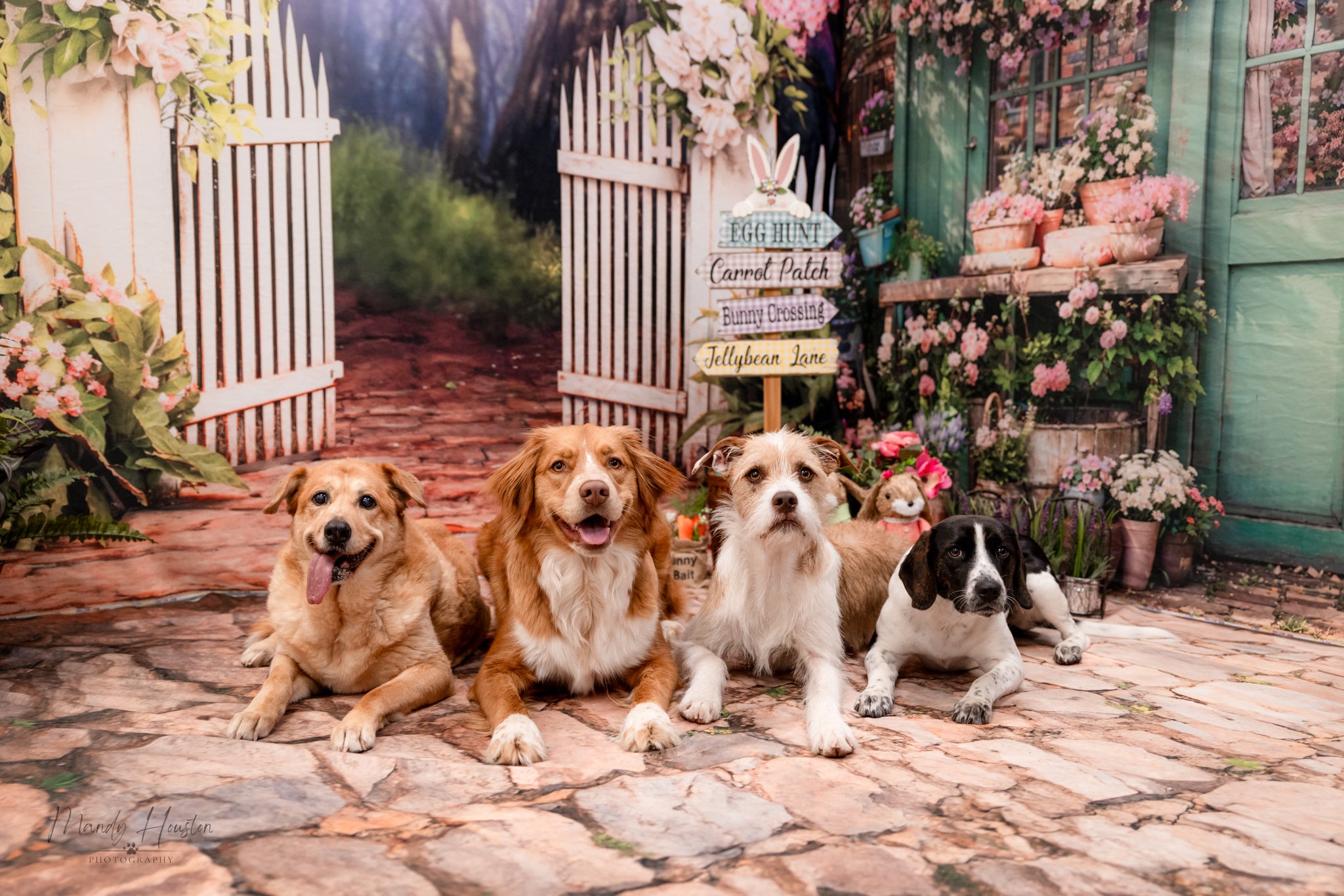 Kate Printemps Jardin Floral Ensemble de chambre (8pix8pi&10pix8pi&8pix10pi) - Kate Backdrop FR