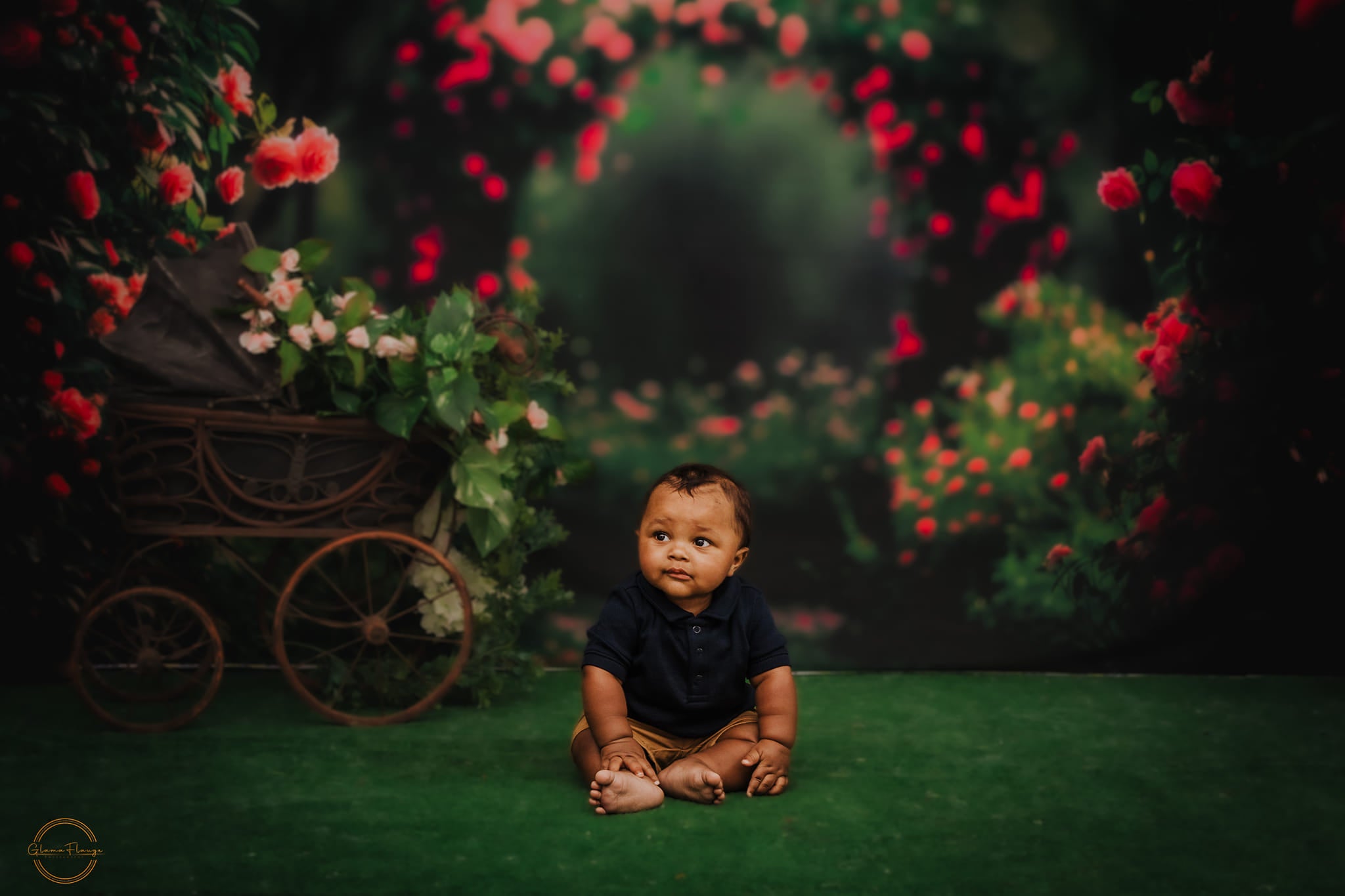 Kate Fleurs roses Arche de Jardin Toile de fond conçue par Patty Robert - Kate Backdrop FR