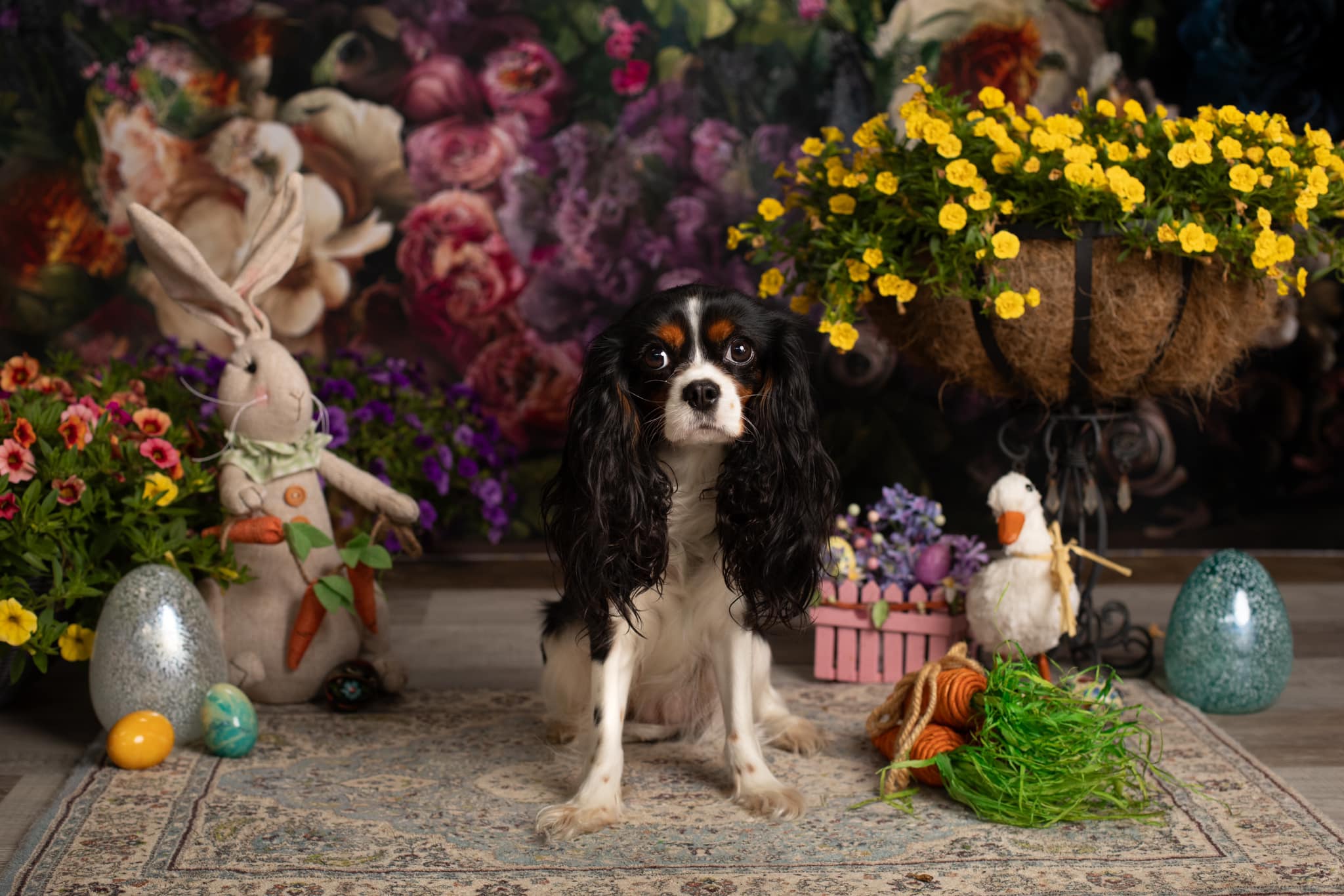 Offres Éclair-Kate Sarcelle foncée Fleurs Beaux-arts Toile de fond en Laine conçue par Mini MakeBelieve - Kate Backdrop FR