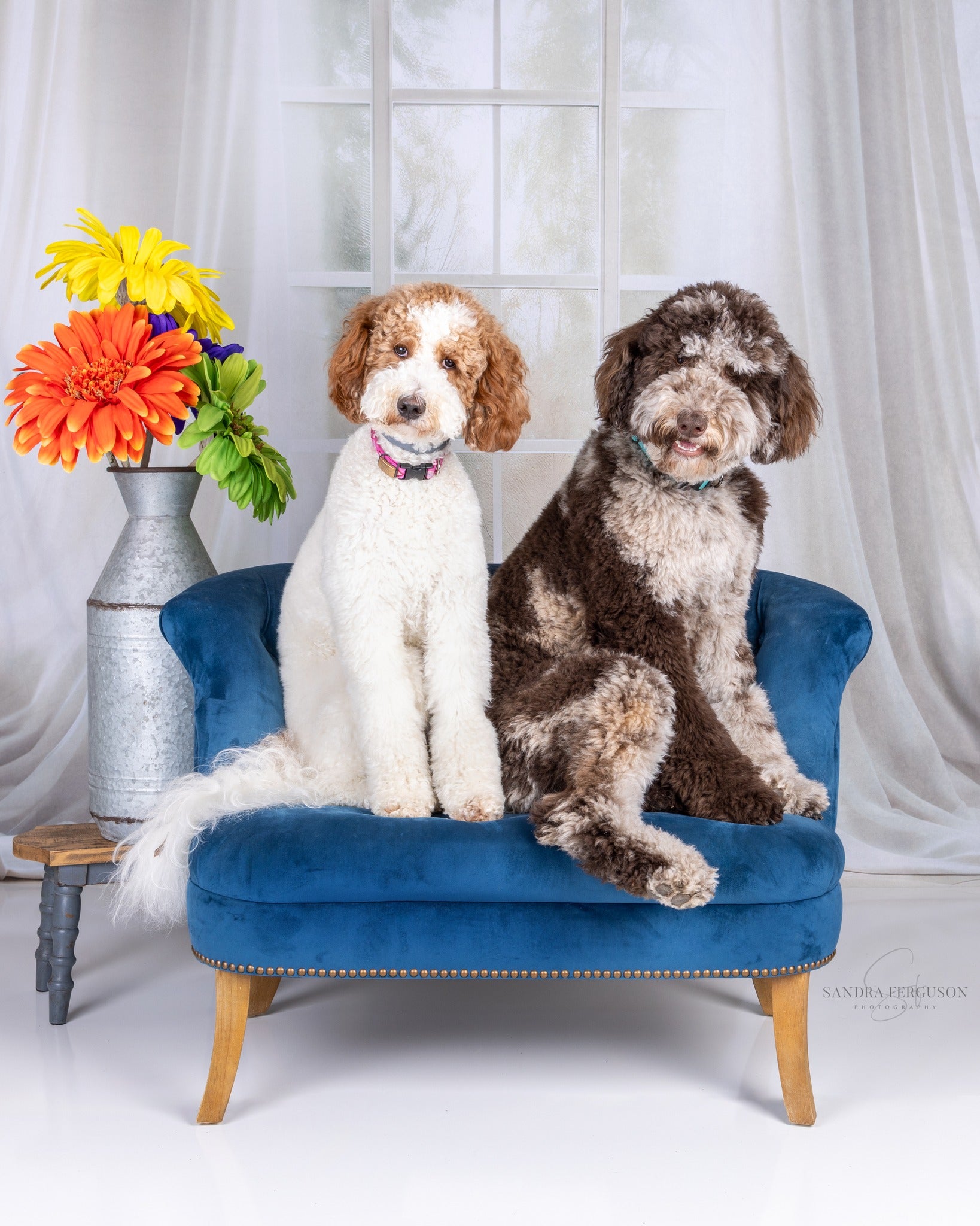 Kate Printemps Blanc Rideaux Fenêtre Chambre Toile de fond conçue par Chain Photographie - Kate Backdrop FR