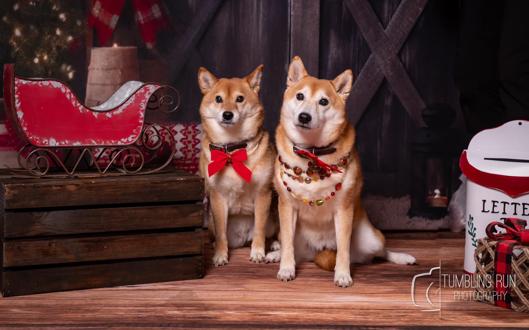 Kate Noël Sombre Grange Arbre Toile de fond pour la photographie - Kate Backdrop FR