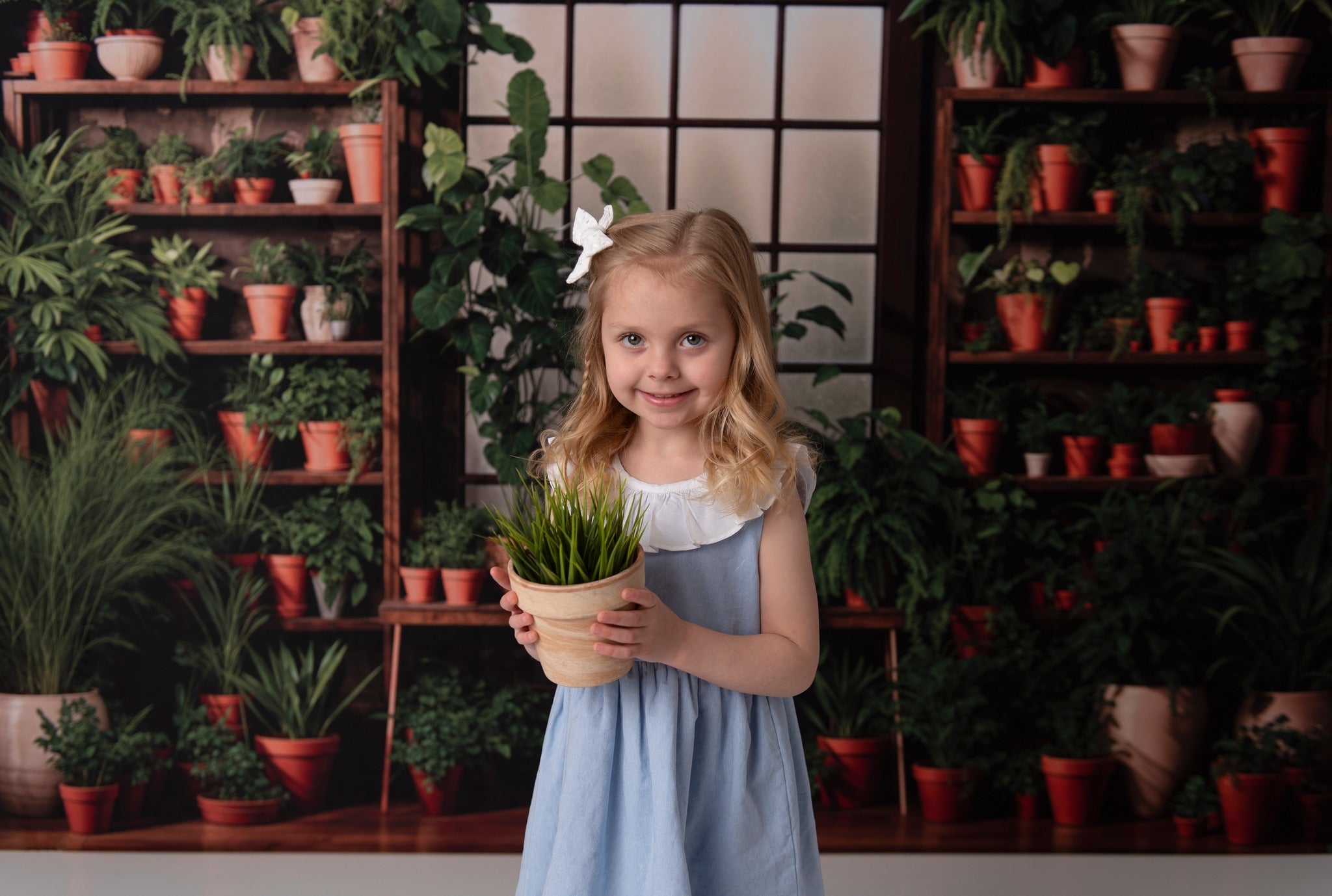 Kate Printemps Intérieur Plantes vertes Fenêtre Toile de fond conçue par Emetselch - Kate Backdrop FR