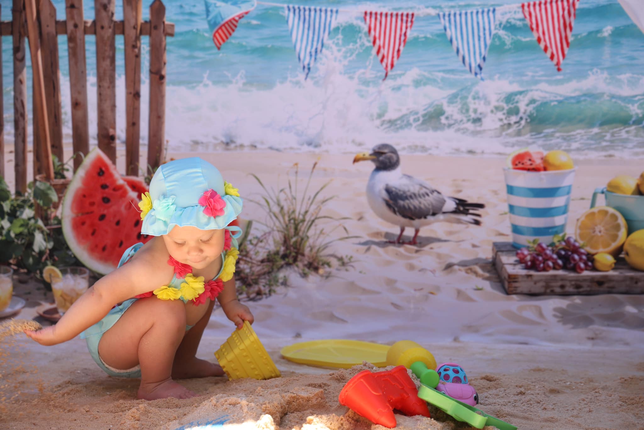 Kate Été Mer Plage Pastèque Oiseau Clôture Toile de fond conçue par Emetselch - Kate Backdrop FR