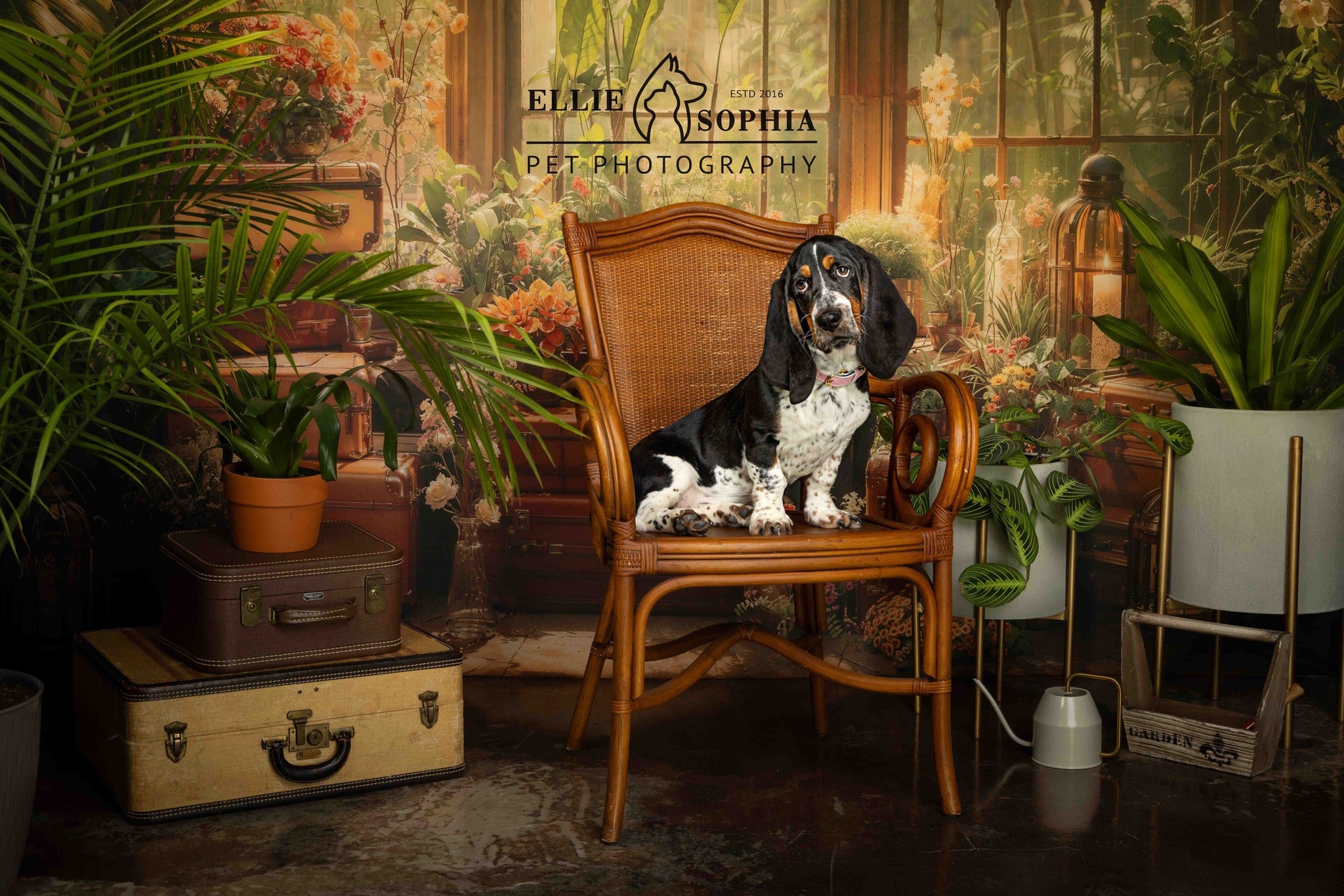 Kate Printemps Plante verte Fenêtre Chambre Toile de fond conçue par Chain Photographie - Kate Backdrop FR