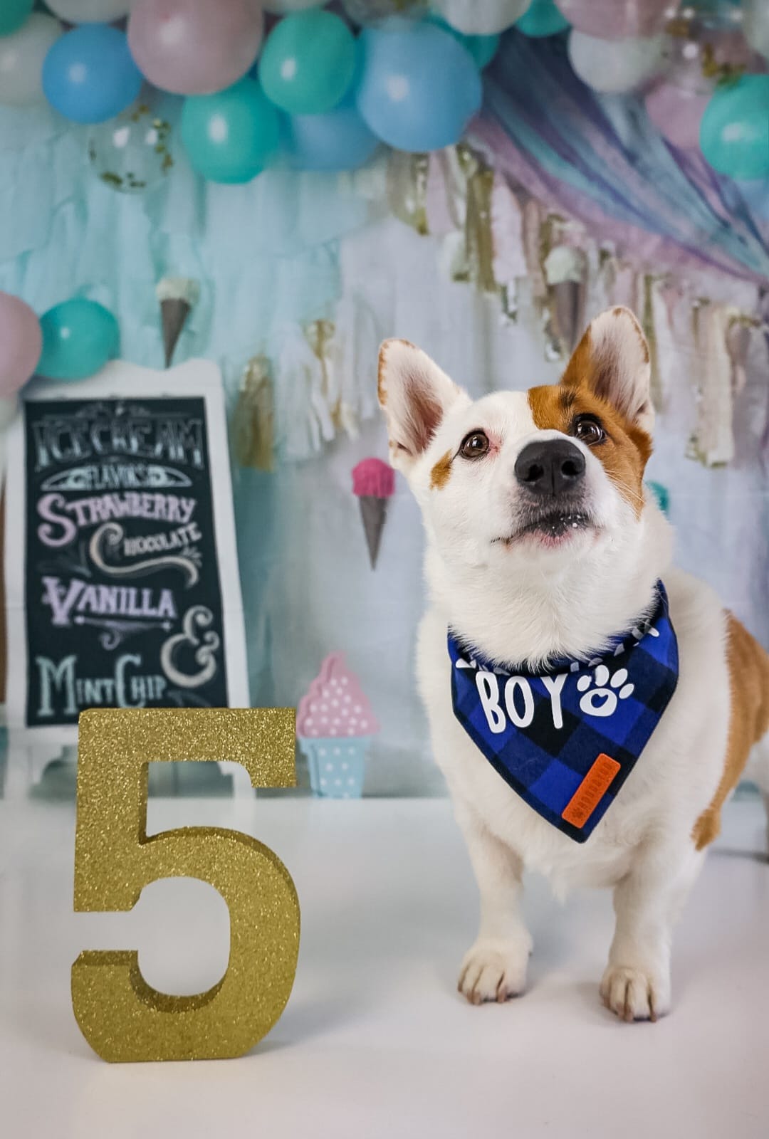 Kate Fête Crème glacée Pastel Enfant Toile de fond conçue par Mandy Ringe - Kate Backdrop FR