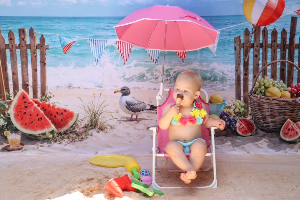 Kate Été Mer Plage Pastèque Oiseau Clôture Toile de fond conçue par Emetselch - Kate Backdrop FR