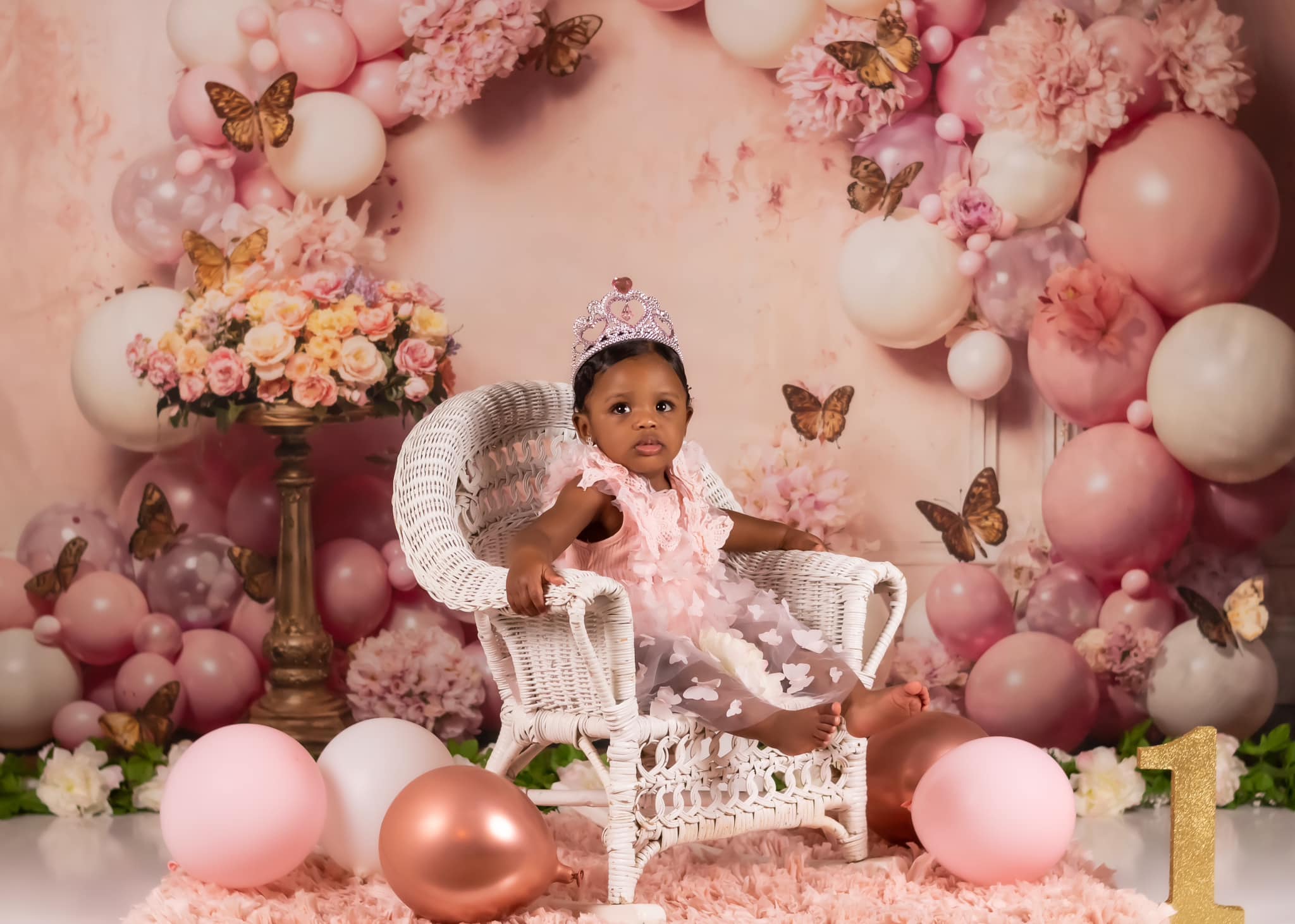 Kate Rose Fleurs Papillon Ballon Toile de fond conçue par Emetselch - Kate Backdrop FR