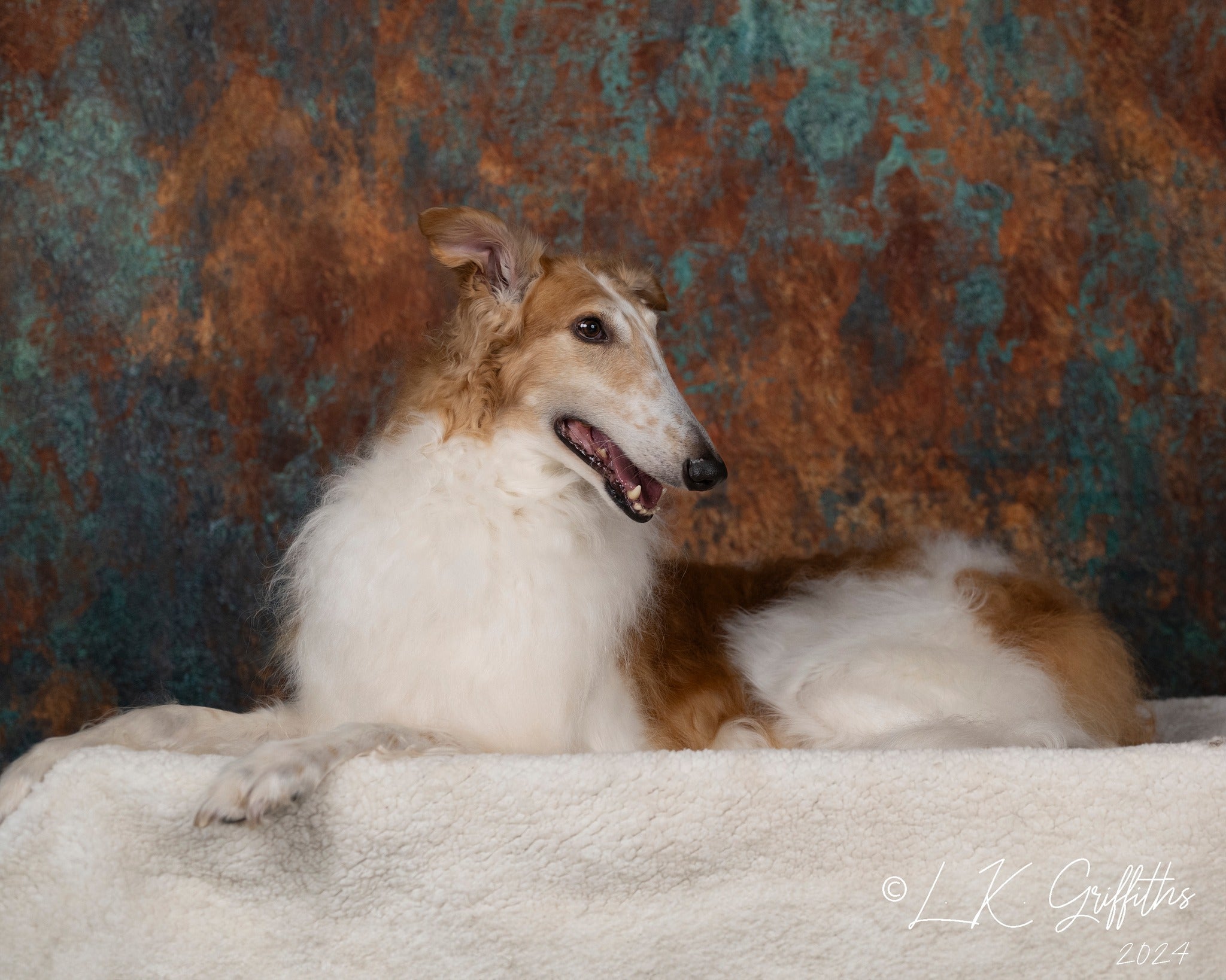 Kate Texture Abstraite Brun Gris acier Toile de fond pour la photographie - Kate Backdrop FR