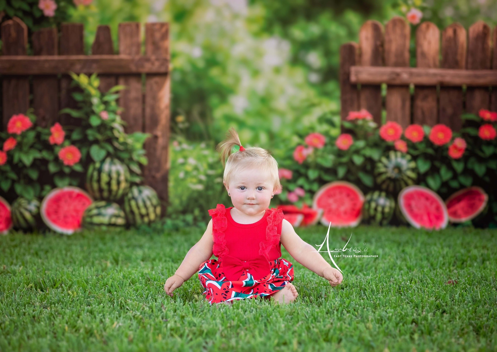 Kate Été Bokeh Plante verte Fleurs Pastèque Clôture Toile de fond conçue par Emetselch - Kate Backdrop FR