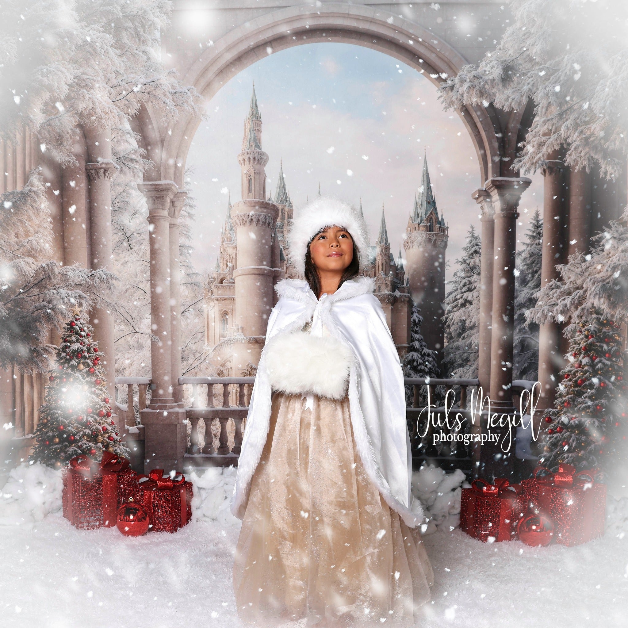 Kate Hiver Noël Fenêtre Château de rêve Toile de fond conçue par Emetselch - Kate Backdrop FR