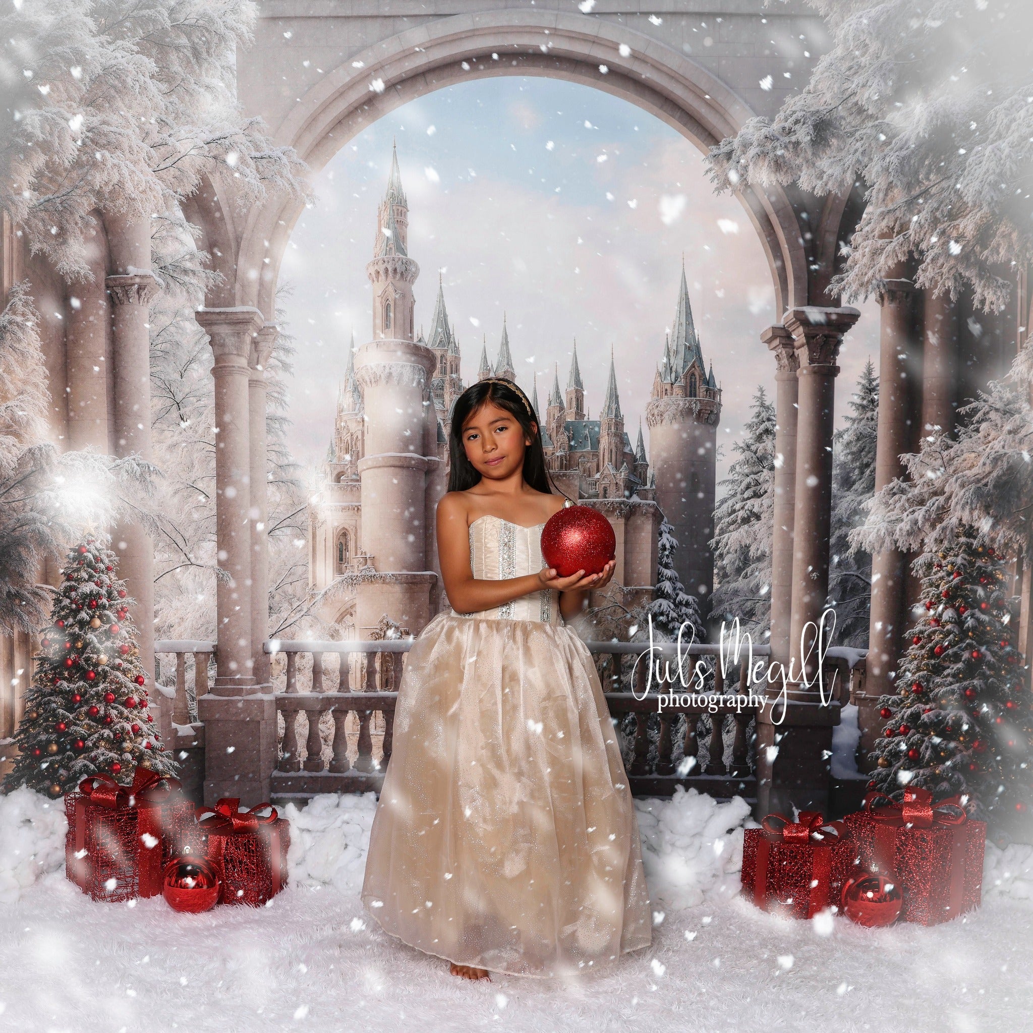 Kate Hiver Noël Fenêtre Château de rêve Toile de fond conçue par Emetselch - Kate Backdrop FR