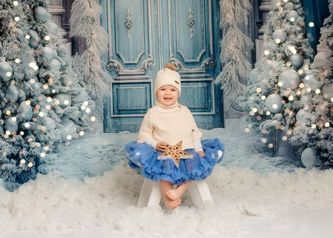 Kate Noël Hiver Neige Porte Toile de fond pour la photographie - Kate Backdrop FR