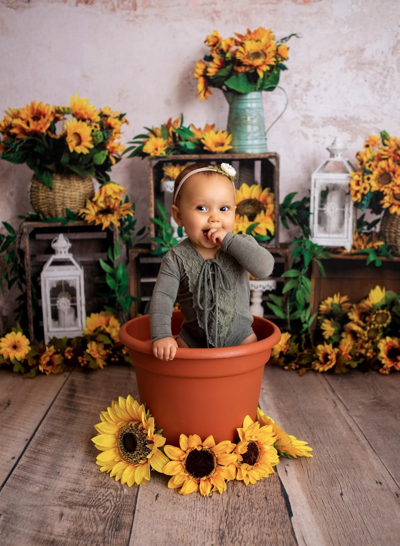 Kate Tournesol Été Jaune Toile de fond conçue par Emetselch - Kate Backdrop FR