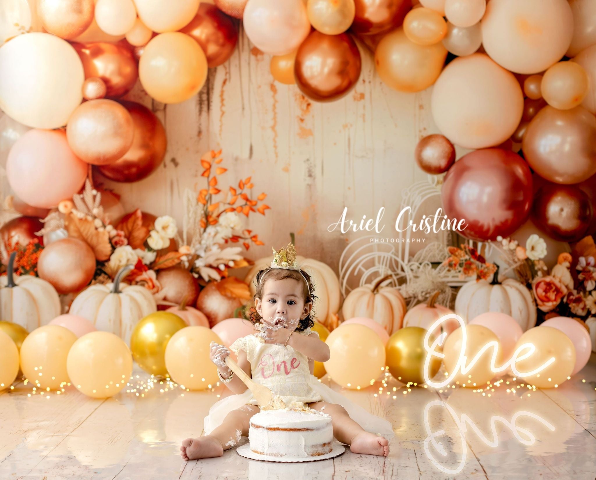 Offres Éclair #1 Kate Bohème Automne Citrouilles Ballons Toile de fond conçue par Patty Robert - Kate Backdrop FR