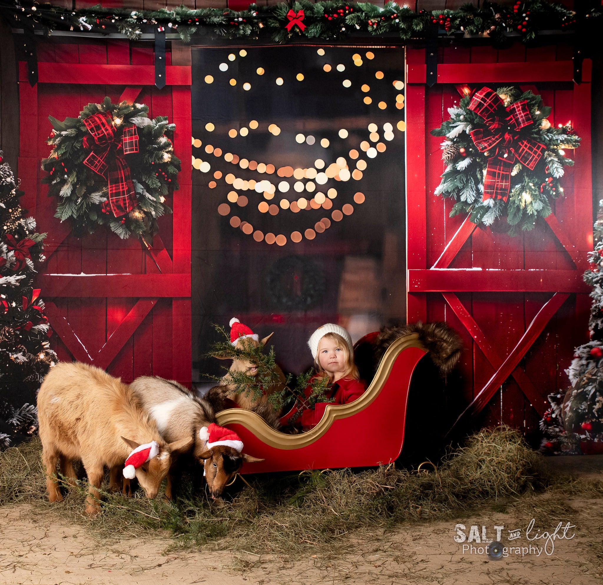 Kate Noël Nuit Rouge Porte de grange Neige Toile de fond conçue par Emetselch - Kate Backdrop FR