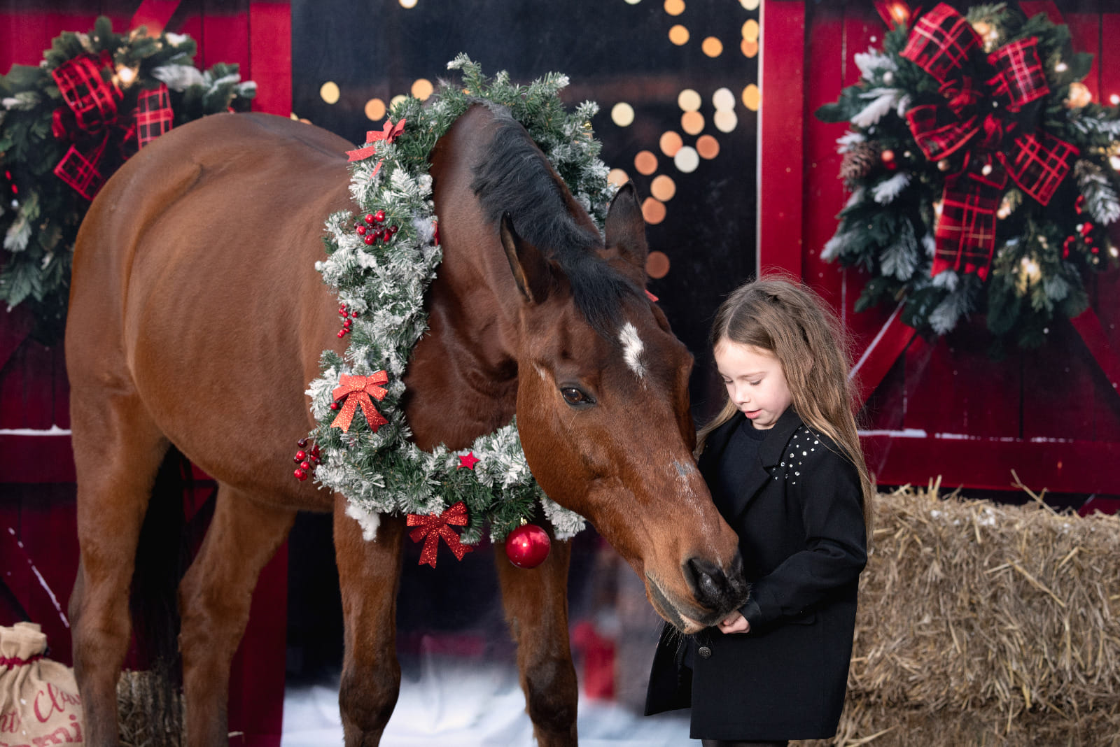 Kate Noël Nuit Rouge Porte de grange Neige Toile de fond conçue par Emetselch - Kate Backdrop FR