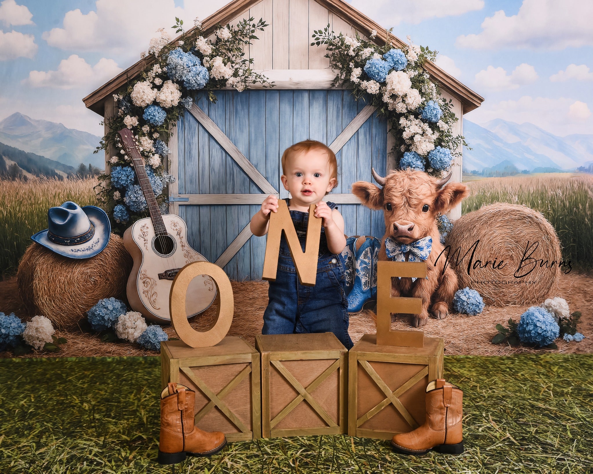 Kate Campagne Grange Vache Guitare Toile de fond conçu par Ashley Paul - Kate Backdrop FR