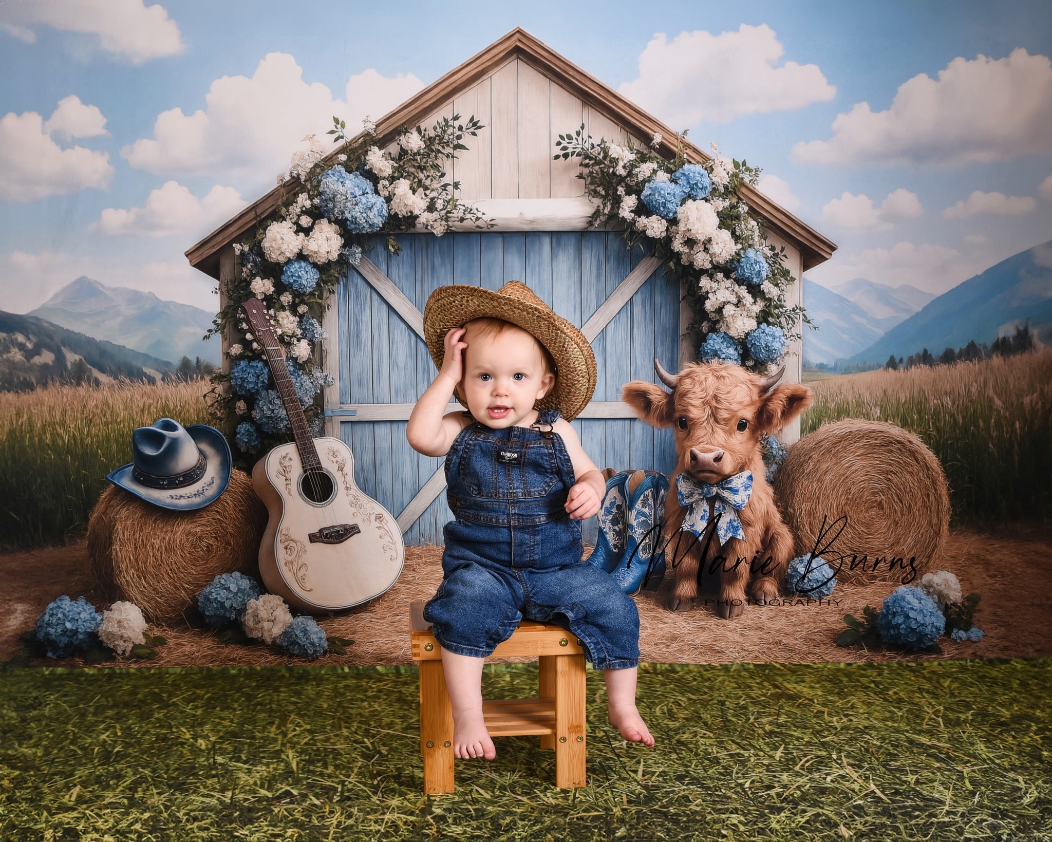 Kate Campagne Grange Vache Guitare Toile de fond conçu par Ashley Paul - Kate Backdrop FR