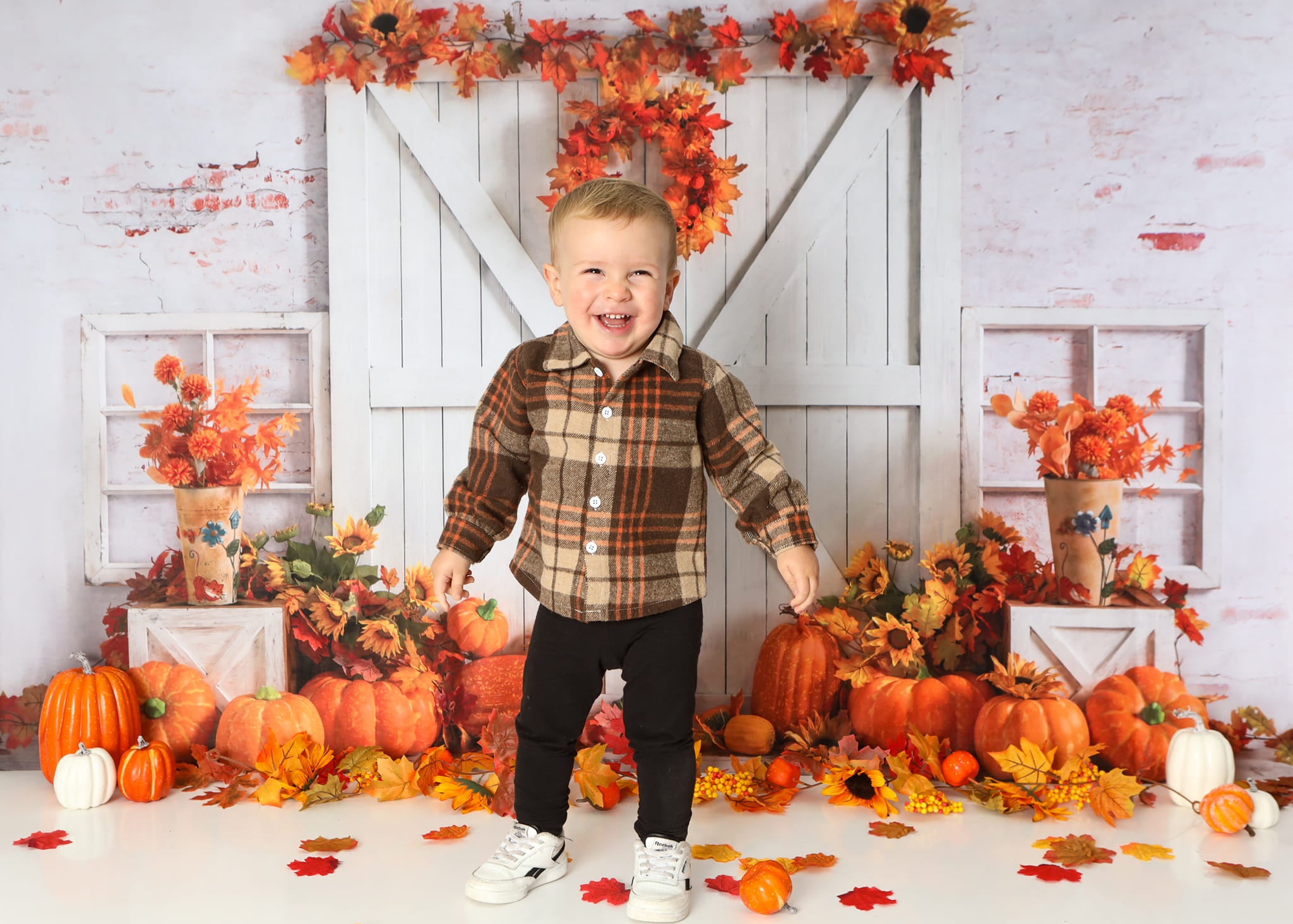 Kate Grange Action de grâces Citrouilles Automne Toile de fond conçu par Emetselch - Kate Backdrop FR