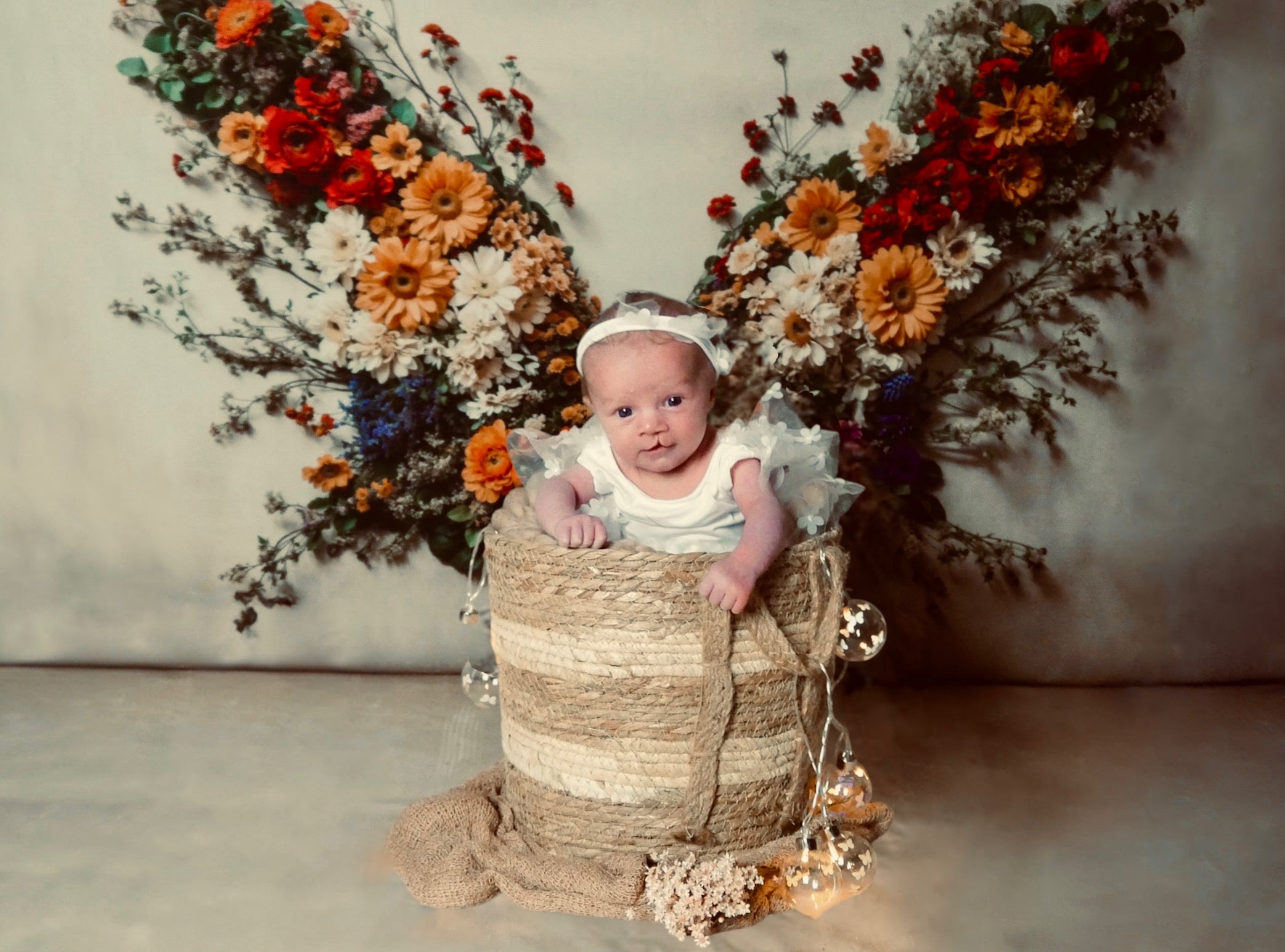 Kate Fleurs Papillon Sol Mur Bébé Toile de fond conçue par Chain Photographie - Kate Backdrop FR