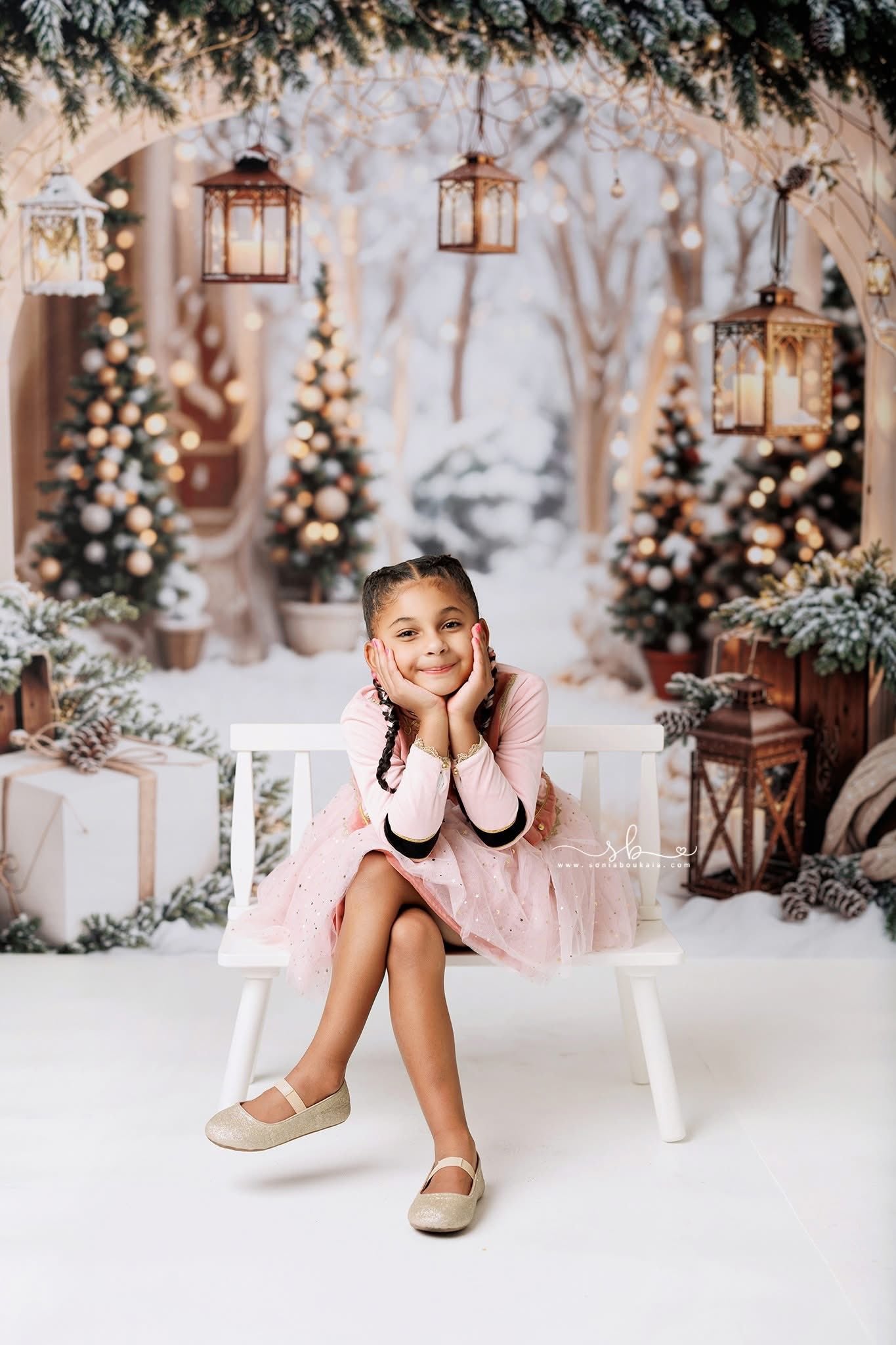 Kate Noël Arche Neige Arbres Lumière Toile de fond conçue par Emetselch - Kate Backdrop FR