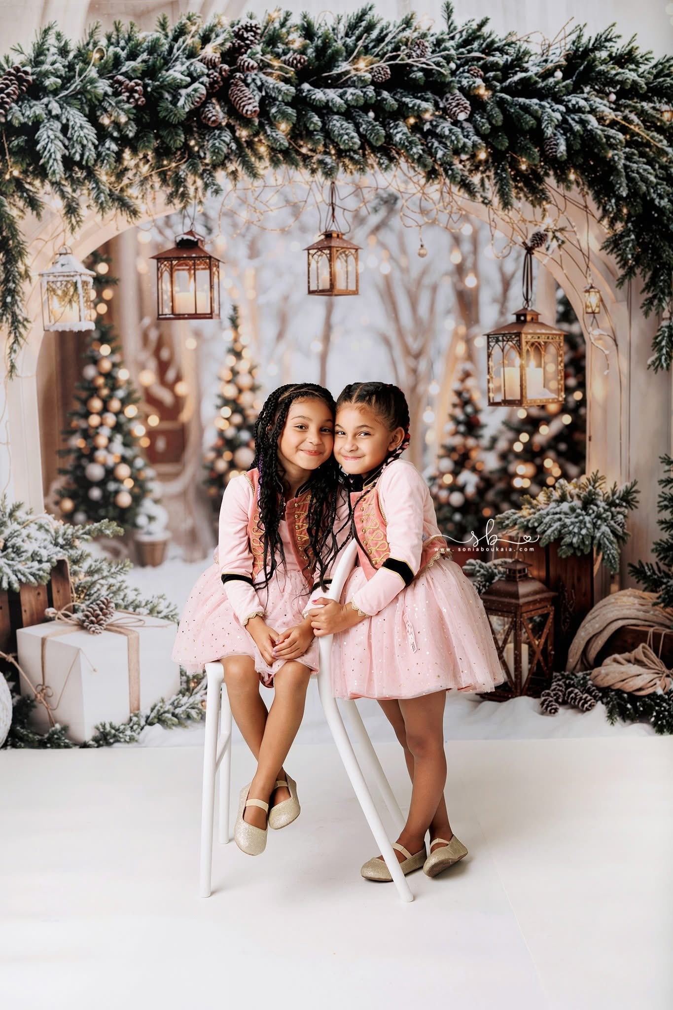 Kate Noël Arche Neige Arbres Lumière Toile de fond conçue par Emetselch - Kate Backdrop FR