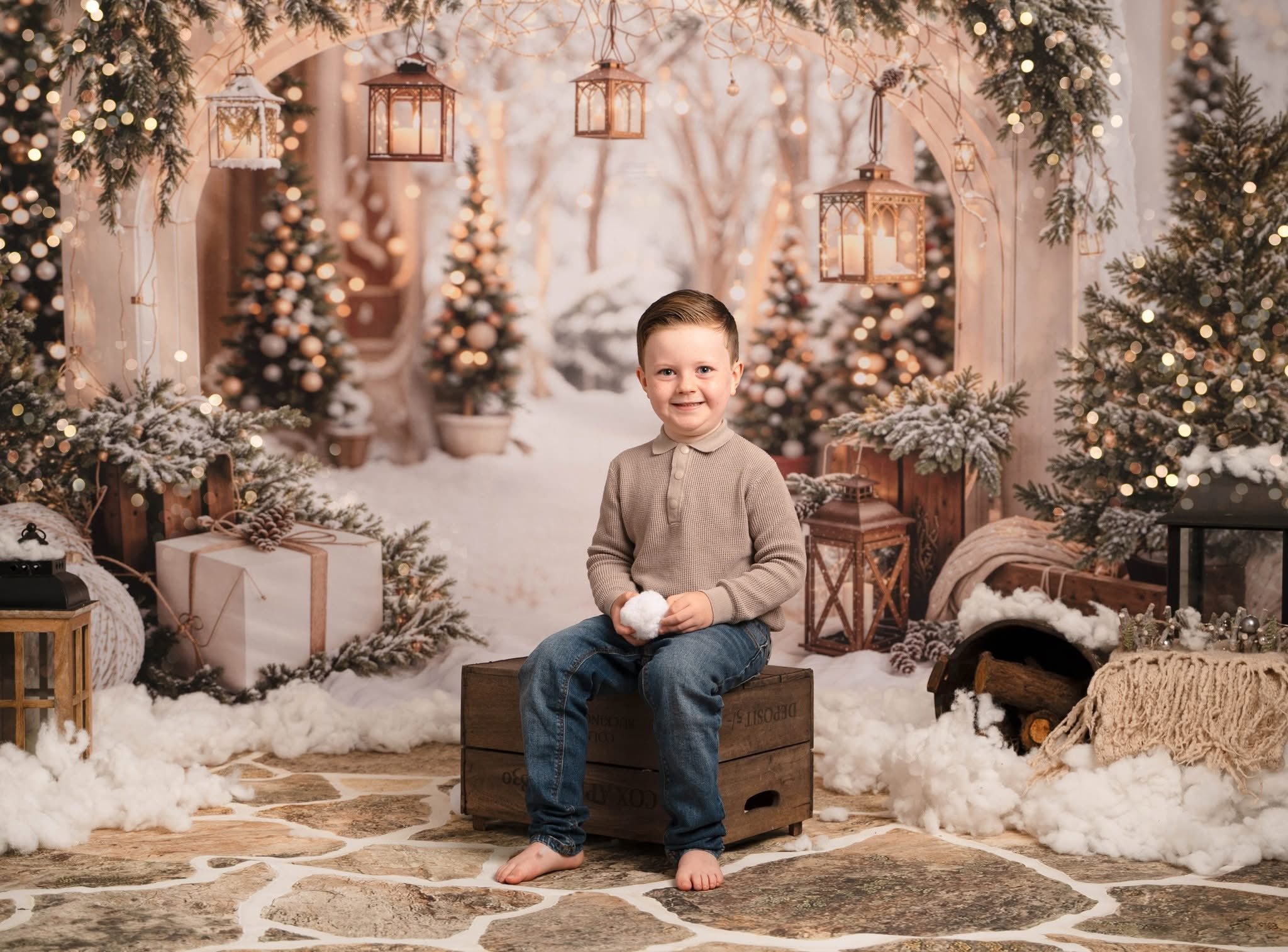 Kate Noël Arche Neige Arbres Lumière Toile de fond conçue par Emetselch - Kate Backdrop FR