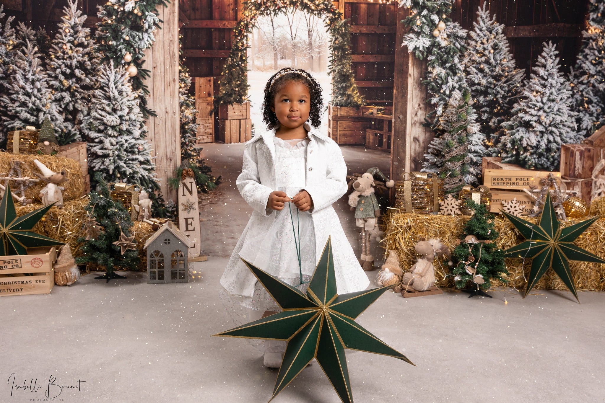 Kate Noël Arche Lumière Sapins Porte Toile de fond conçue par Emetselch