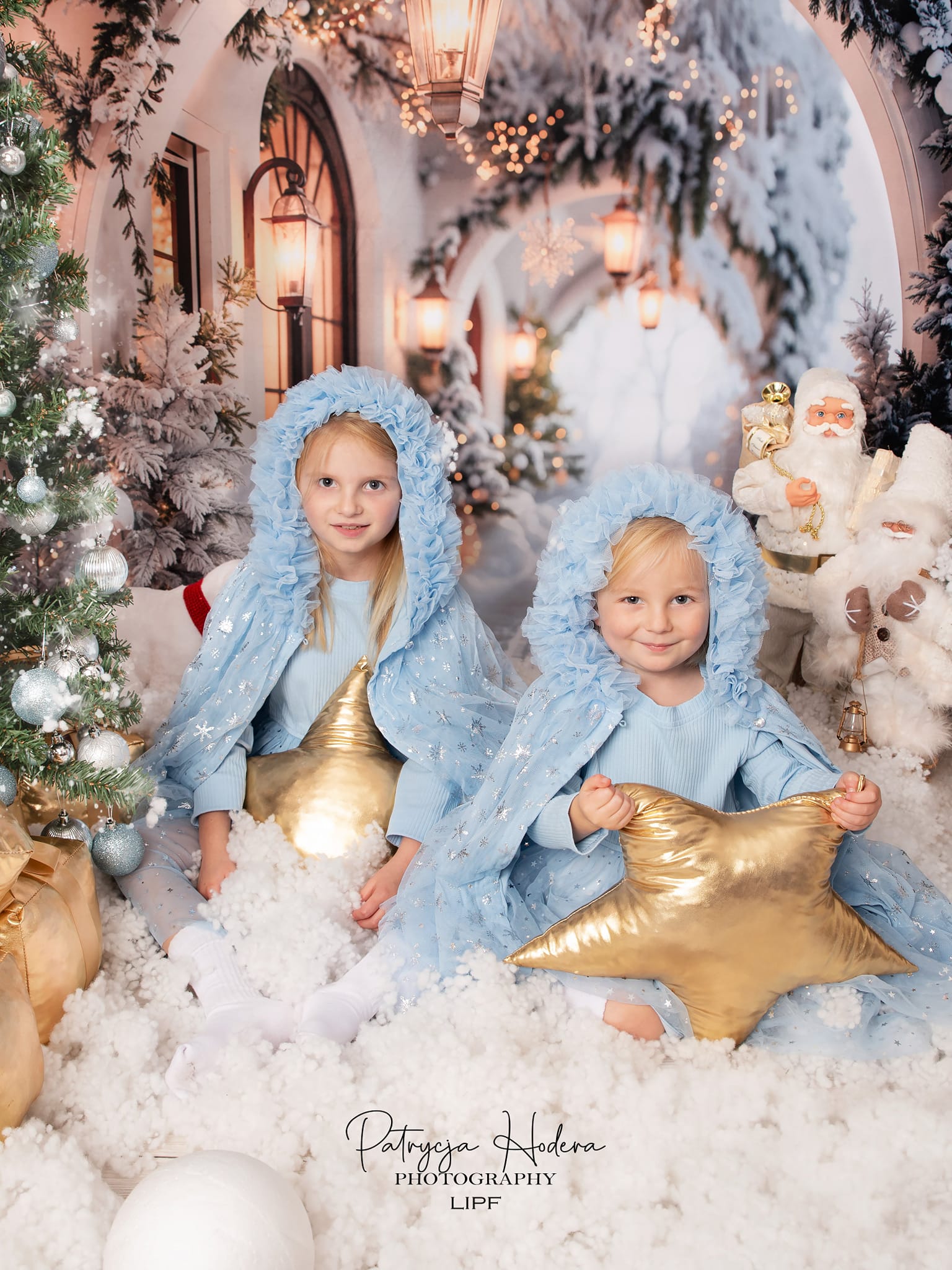 Offres Éclair #4 Kate Hiver Rétro Blanc Noël Couloir en arc Toile de fond conçue par Emetselch - Kate Backdrop FR