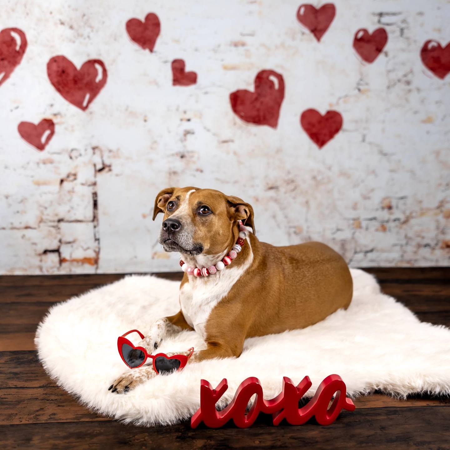 Kate Saint-Valentin Coeur Peint Mur Rétro Toile de fond conçue par Kate Image - Kate Backdrop FR