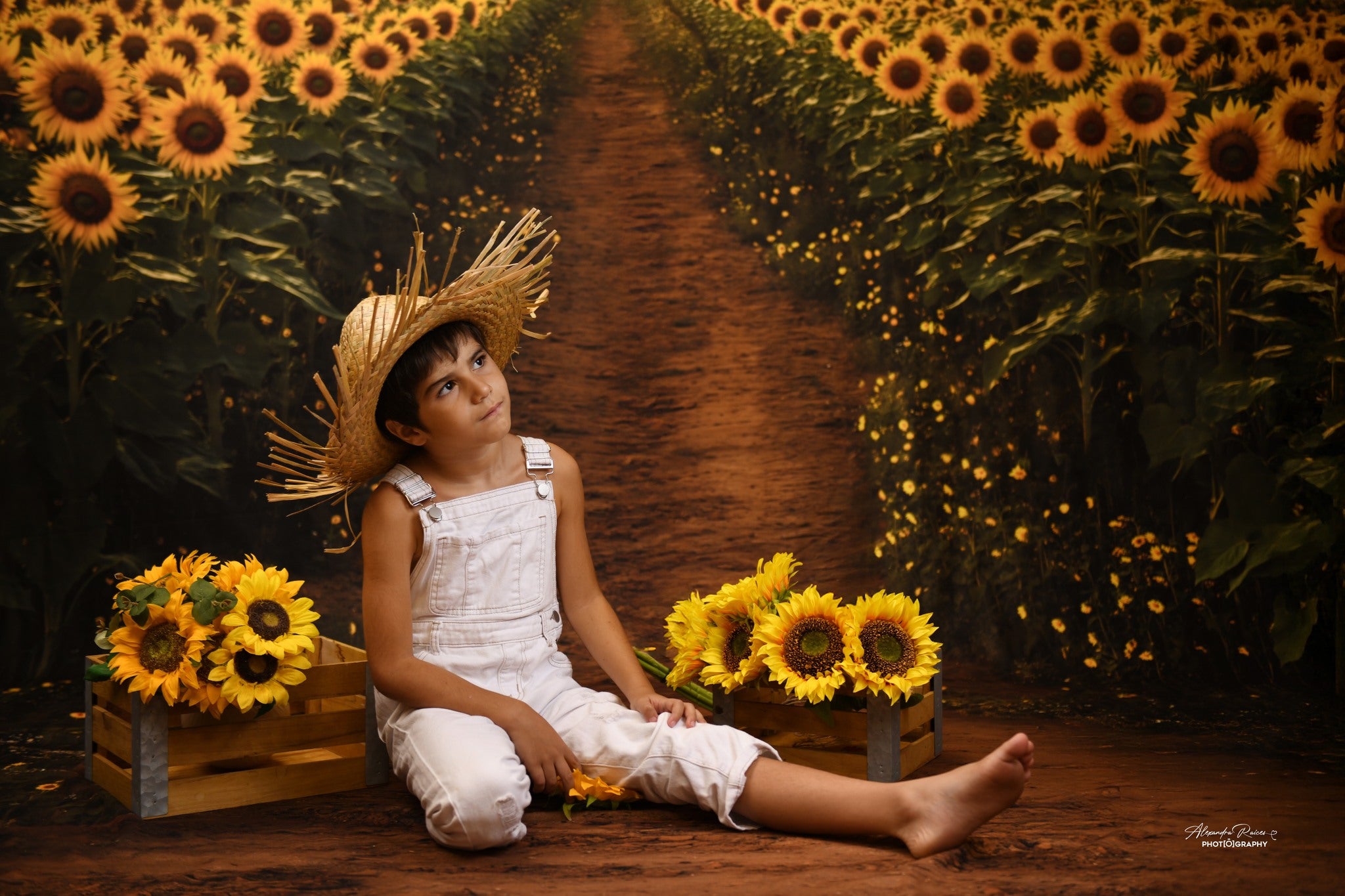 Kate Été Champ de Tournesols Chemin Toile de fond conçue par Emetselch - Kate Backdrop FR