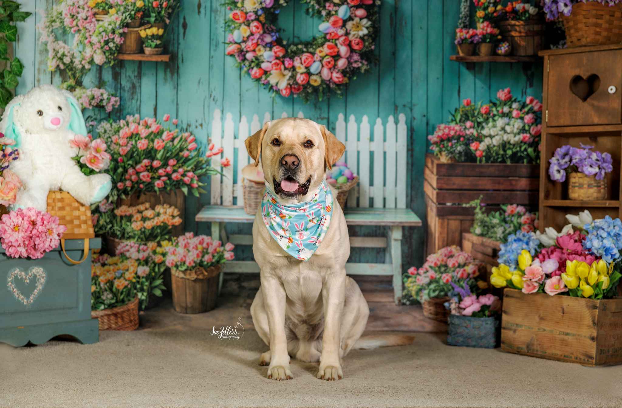 Kate Printemps Fleurs Pâques Mur en Bois Toile de fond conçue par Emetselch - Kate Backdrop FR