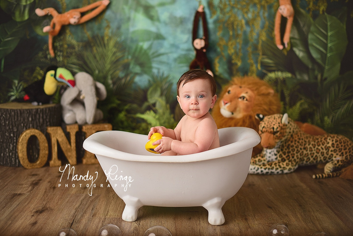 Kate Jungle Animal Cake Smash Enfant Toile de fond conçue par Mandy Ringe - Kate Backdrop FR