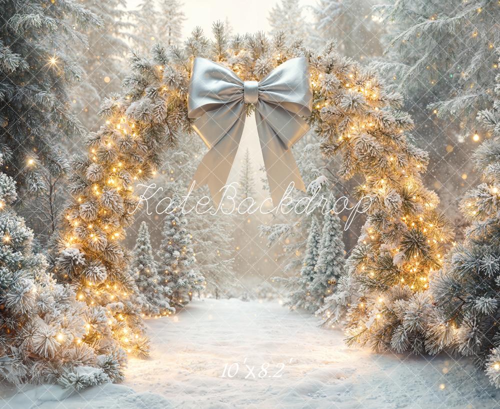 Kate Hiver Arche Guirlande Lumineuse Toile de fond conçue par Emetselch - Kate Backdrop FR