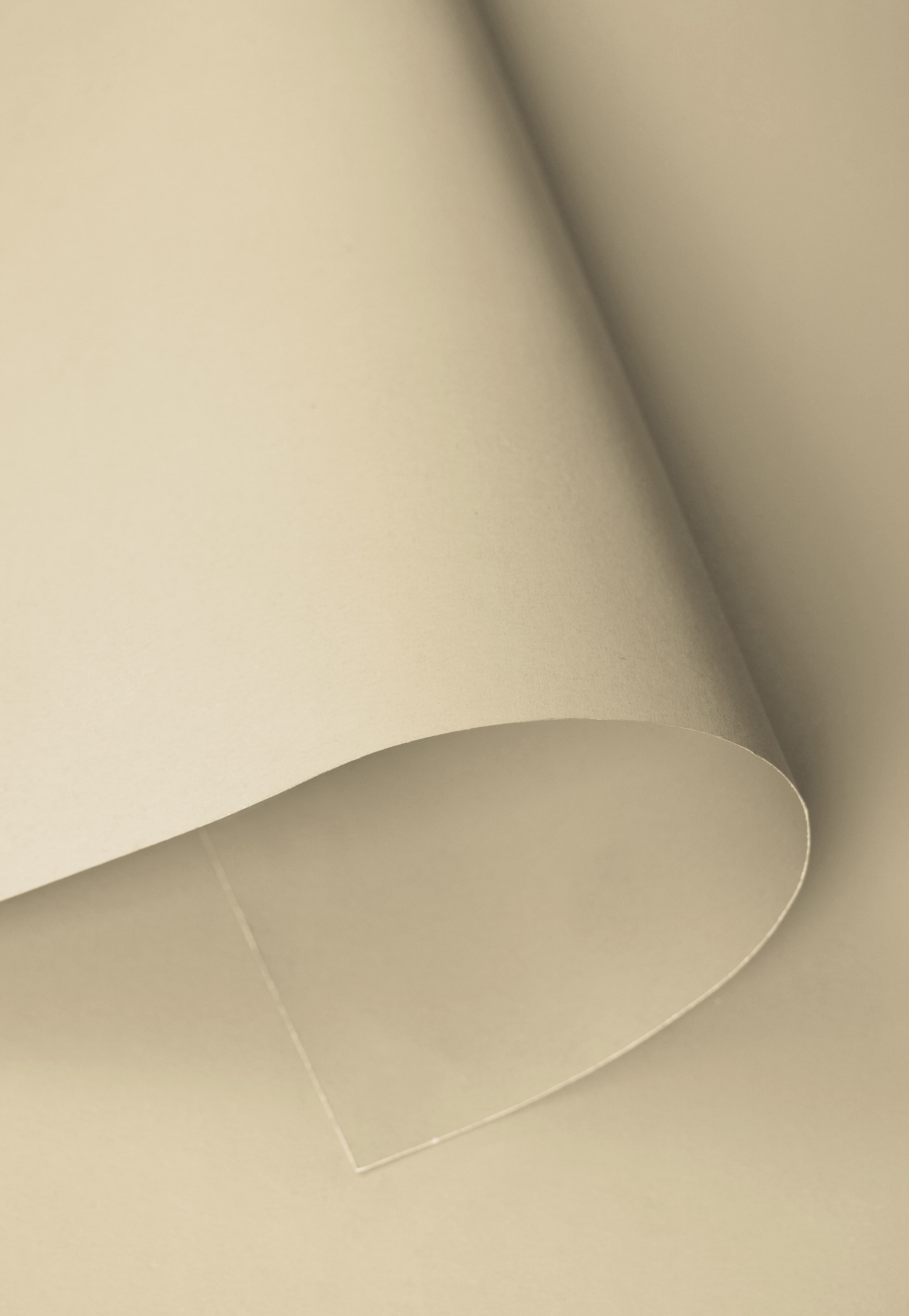 Kate Beige Clair Fond de Papier Sans Couture pour la photographie - Kate Backdrop FR
