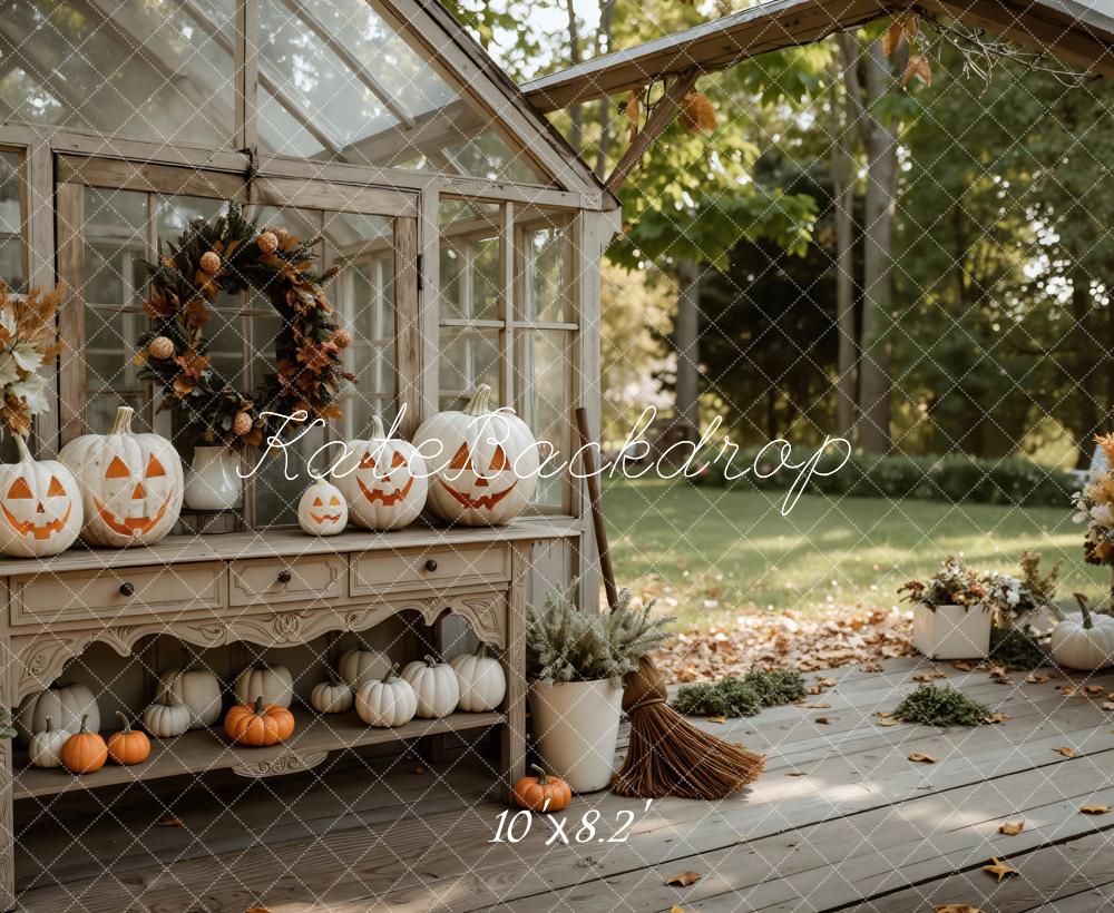 Kate Halloween Citrouilles Serre Automne Toile de fond conçue par Mini MakeBelieve
