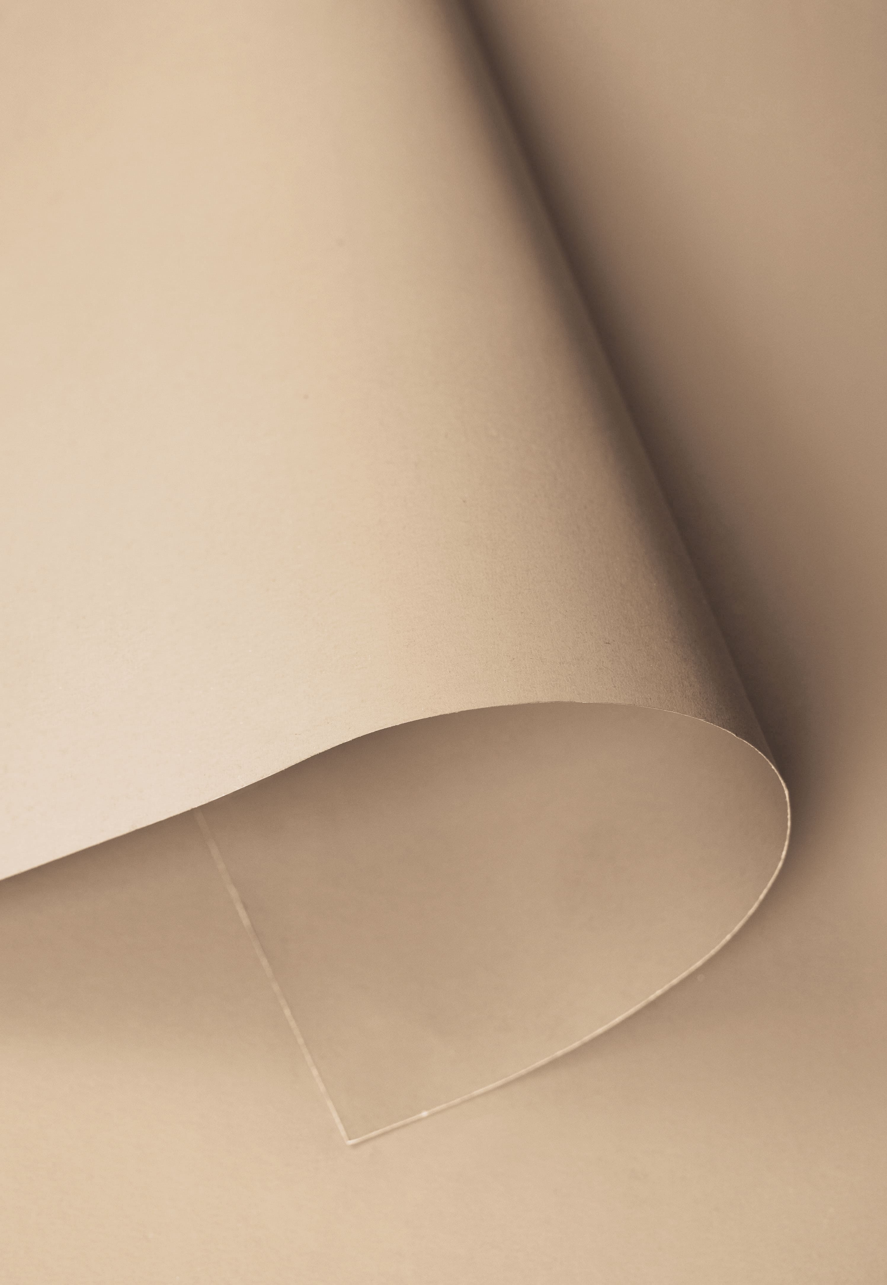 Kate Couleur du Malt Fond de Papier Sans Couture pour la photographie - Kate Backdrop FR