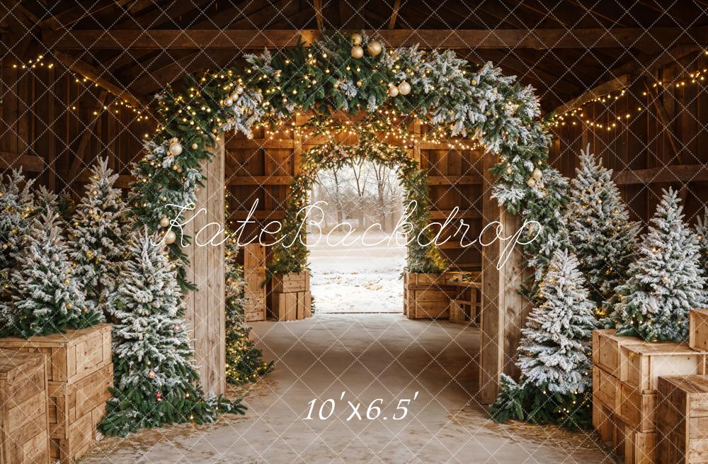 Kate Noël Arche Lumière Sapins Toile de fond en Polar conçue par Emetselch