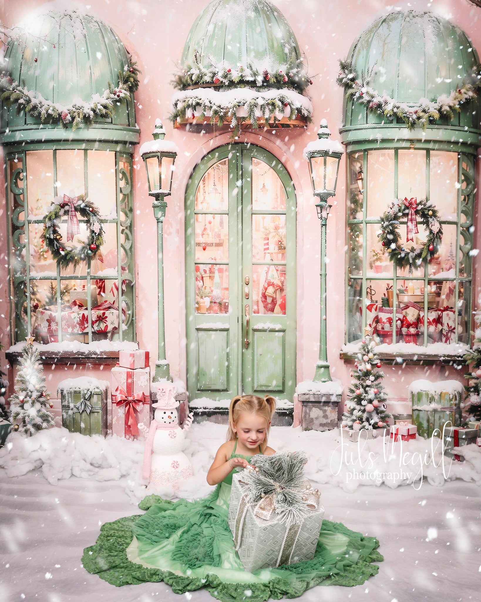 Offres Éclair #2 Kate Noël Maison Rose Neige Cadeaux Toile de fond Conçu par Chain Photographie - Kate Backdrop FR