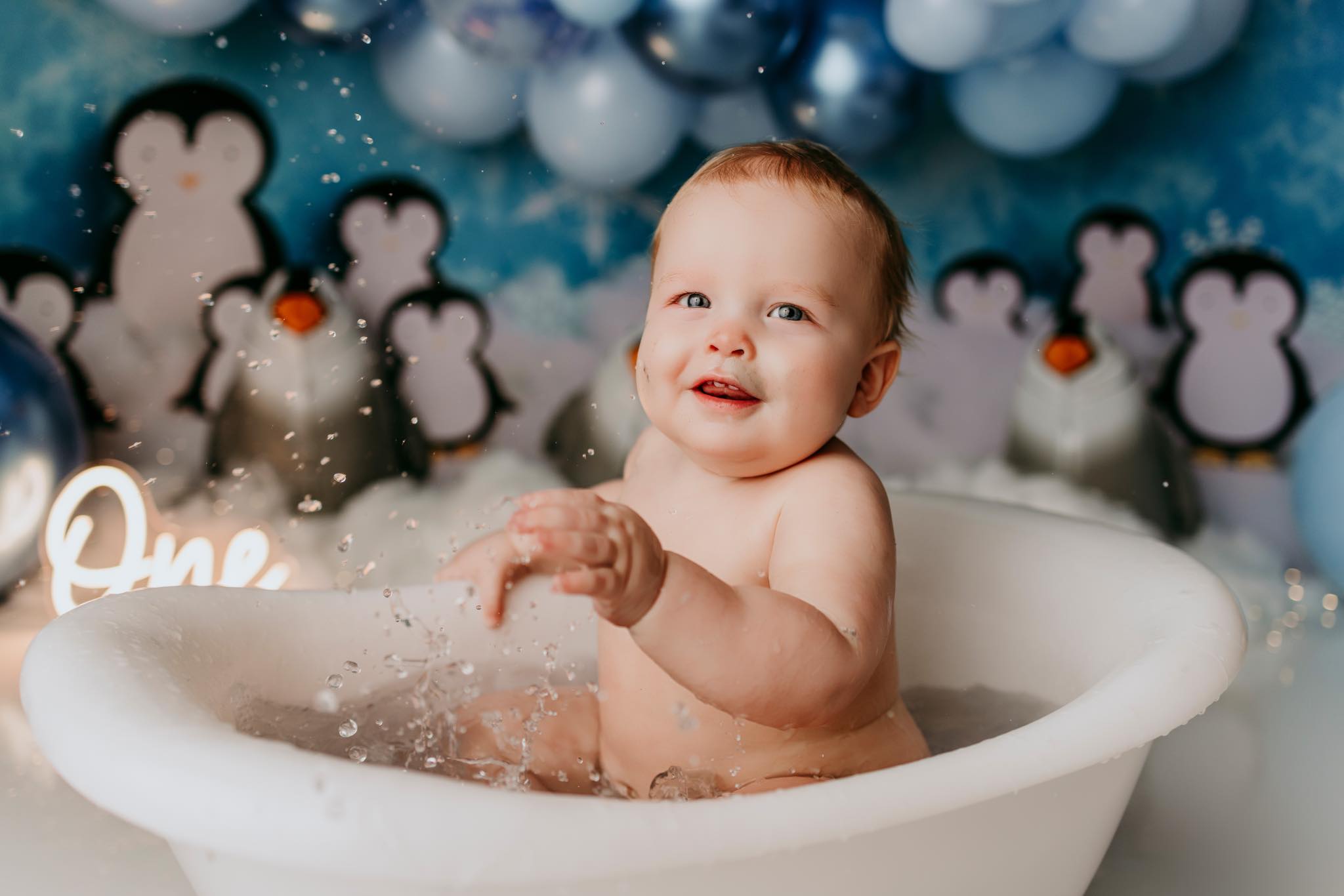 Kate Hiver Pingouins Neige Toile de fond conçu par Melissa King - Kate Backdrop FR