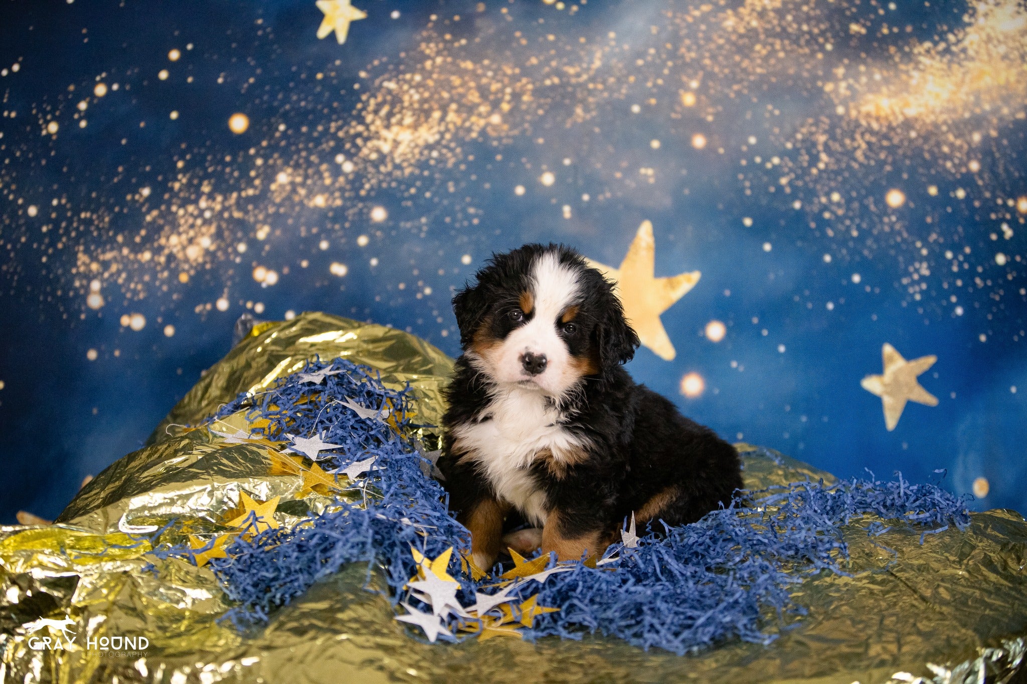 Kate Nuit étoilée Ciel Galaxie Anniversaire Toile de fond conçue par Emetselch - Kate Backdrop FR