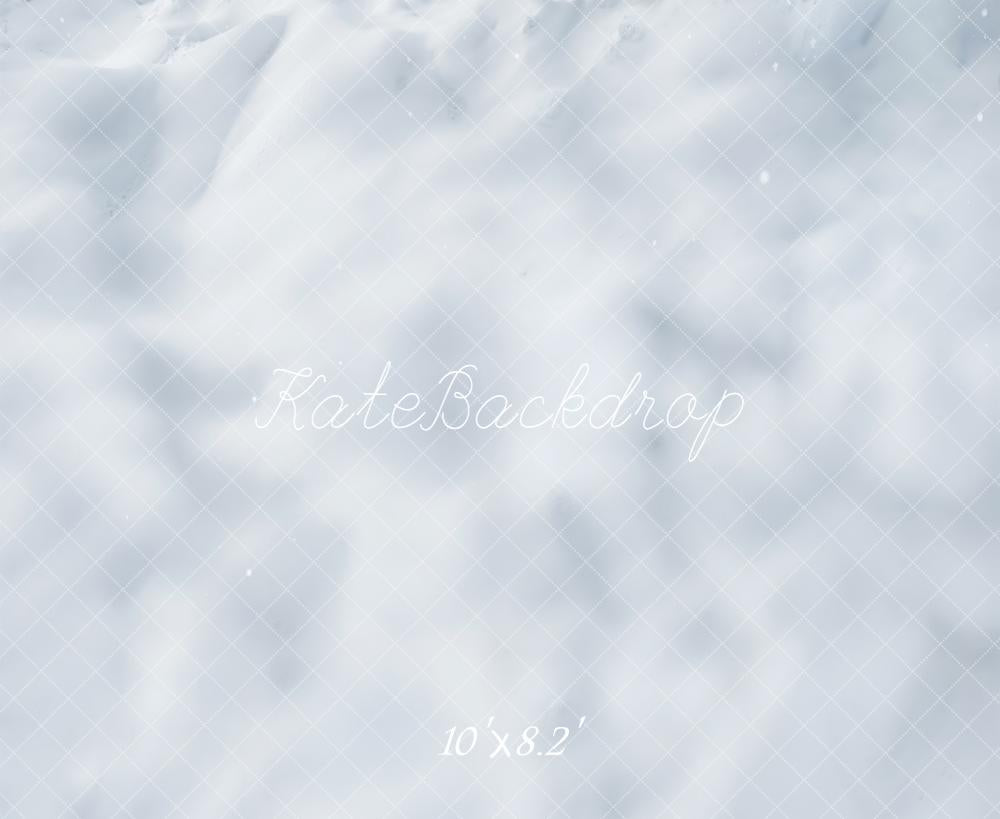 Kate Hiver Neige Texture Blanche Toile de fond conçue par Emetselch - Kate Backdrop FR