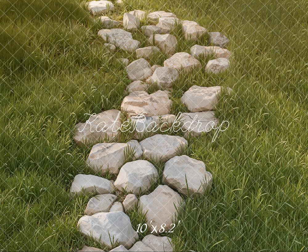 Kate Chemin Pierres Herbe Sol Toile de fond conçue par Kate Image - Kate Backdrop FR