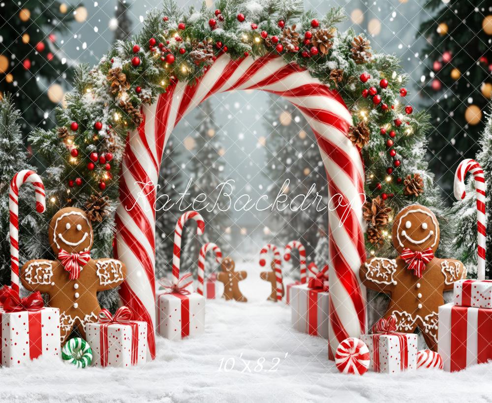Kate Noël Arc Bonbons Pain d'Épice Neige Toile de fond conçue par Emetselch - Kate Backdrop FR
