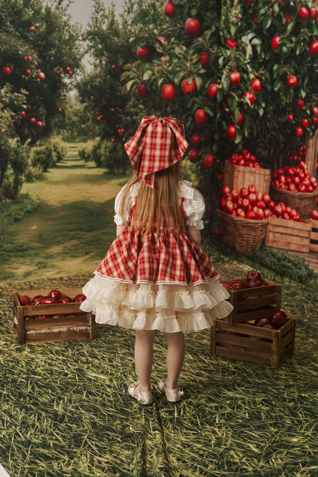 Kate Plaid Rouge Banquet Français Robe Enfant Pour la Photographie - Kate Backdrop FR
