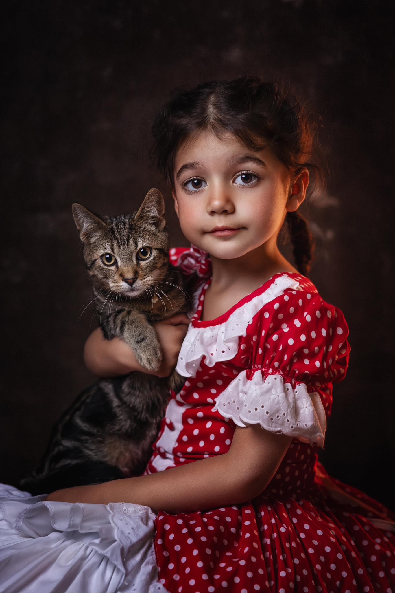 Kate Sweep Mur-à-Sol Abstrait Doré Brun Toile de fond pour la photographie - Kate Backdrop FR