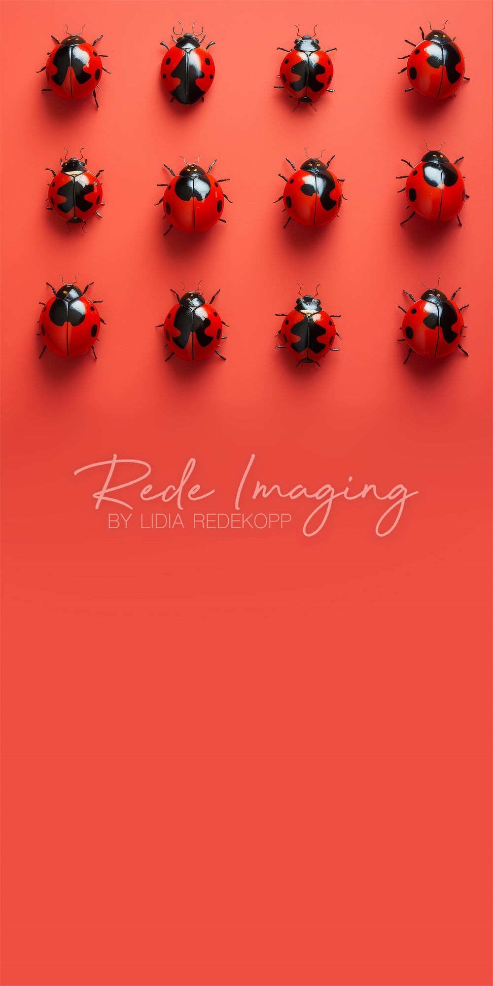 Kate Sweep Mur-à-Sol Coccinelles Nature Rouge Toile de fond conçue par Lidia Redekopp - Kate Backdrop FR